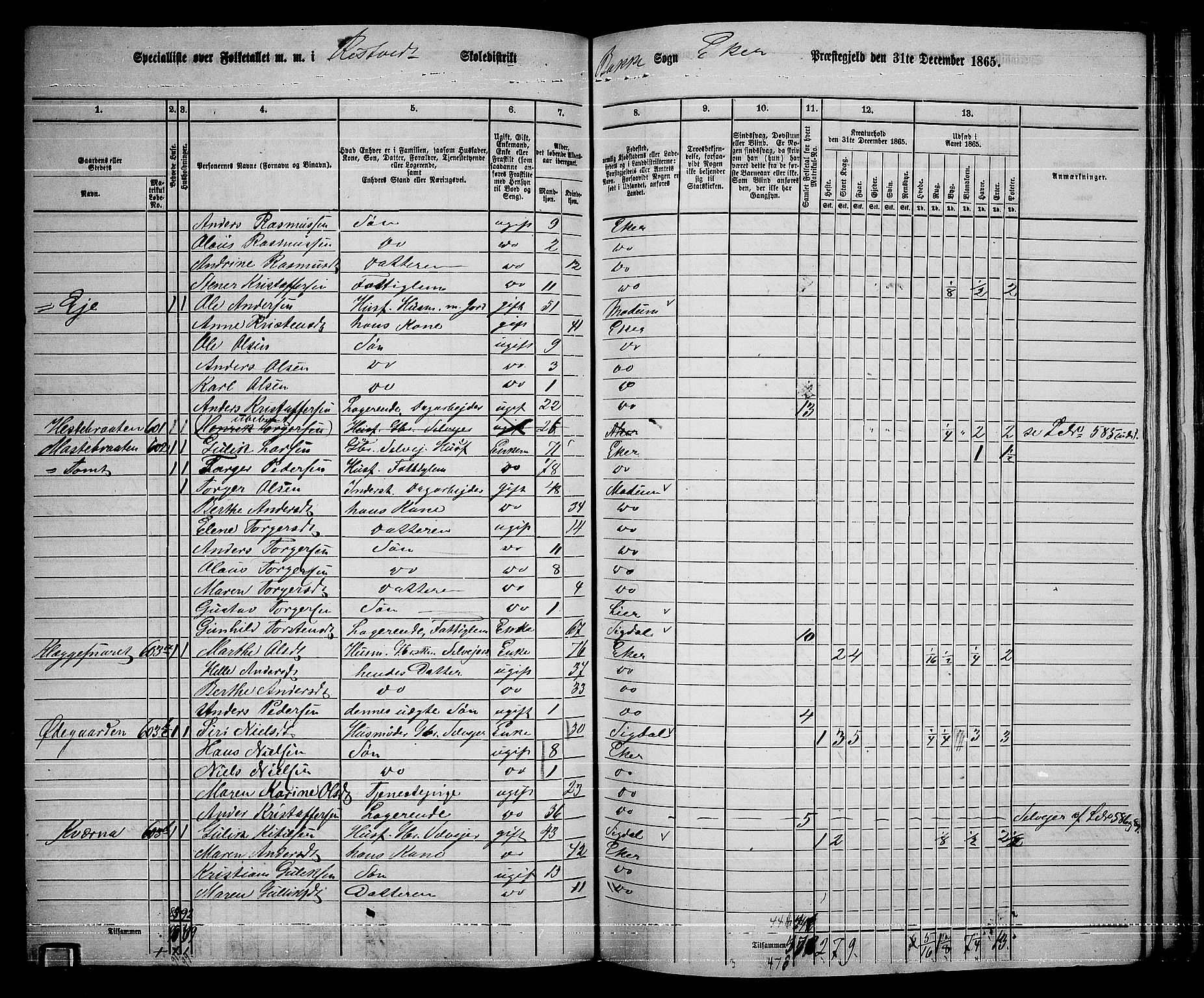 RA, 1865 census for Eiker, 1865, p. 431