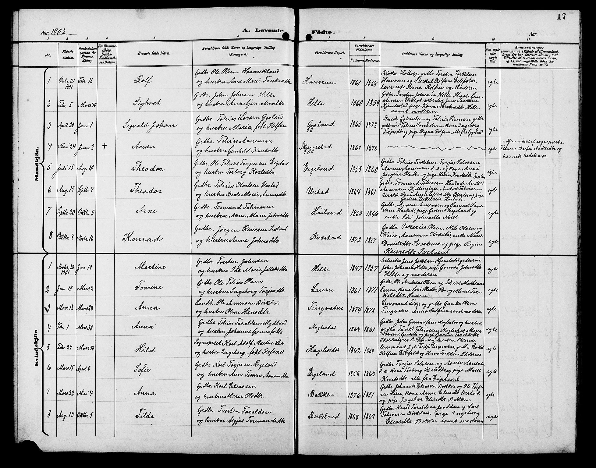 Hægebostad sokneprestkontor, AV/SAK-1111-0024/F/Fb/Fba/L0004: Parish register (copy) no. B 4, 1897-1907, p. 17