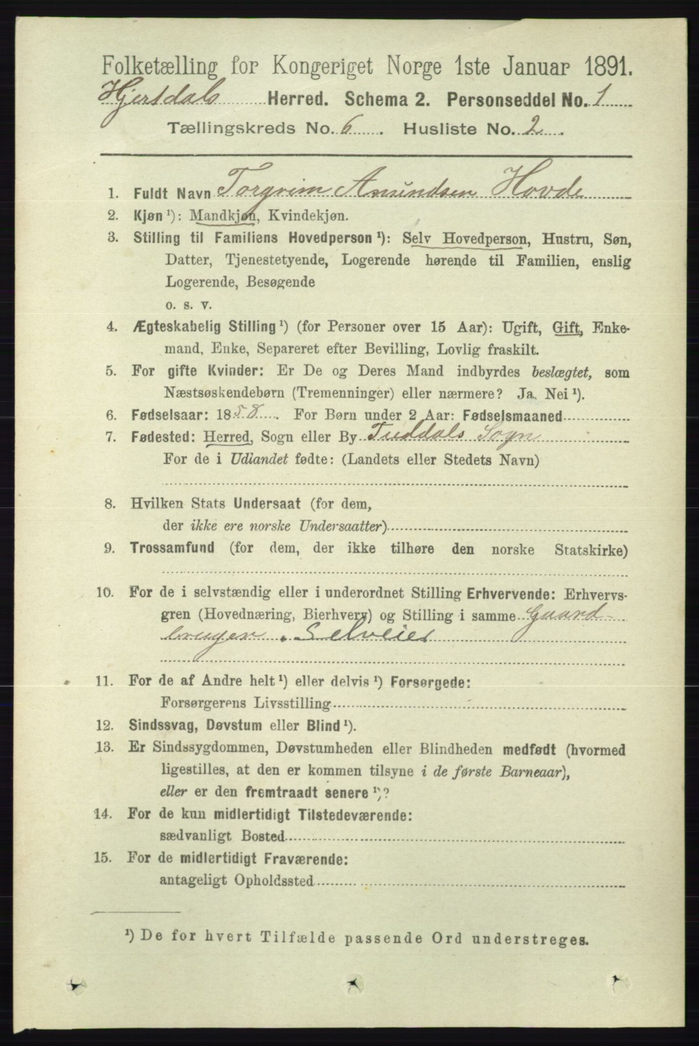 RA, 1891 census for 0827 Hjartdal, 1891, p. 2199