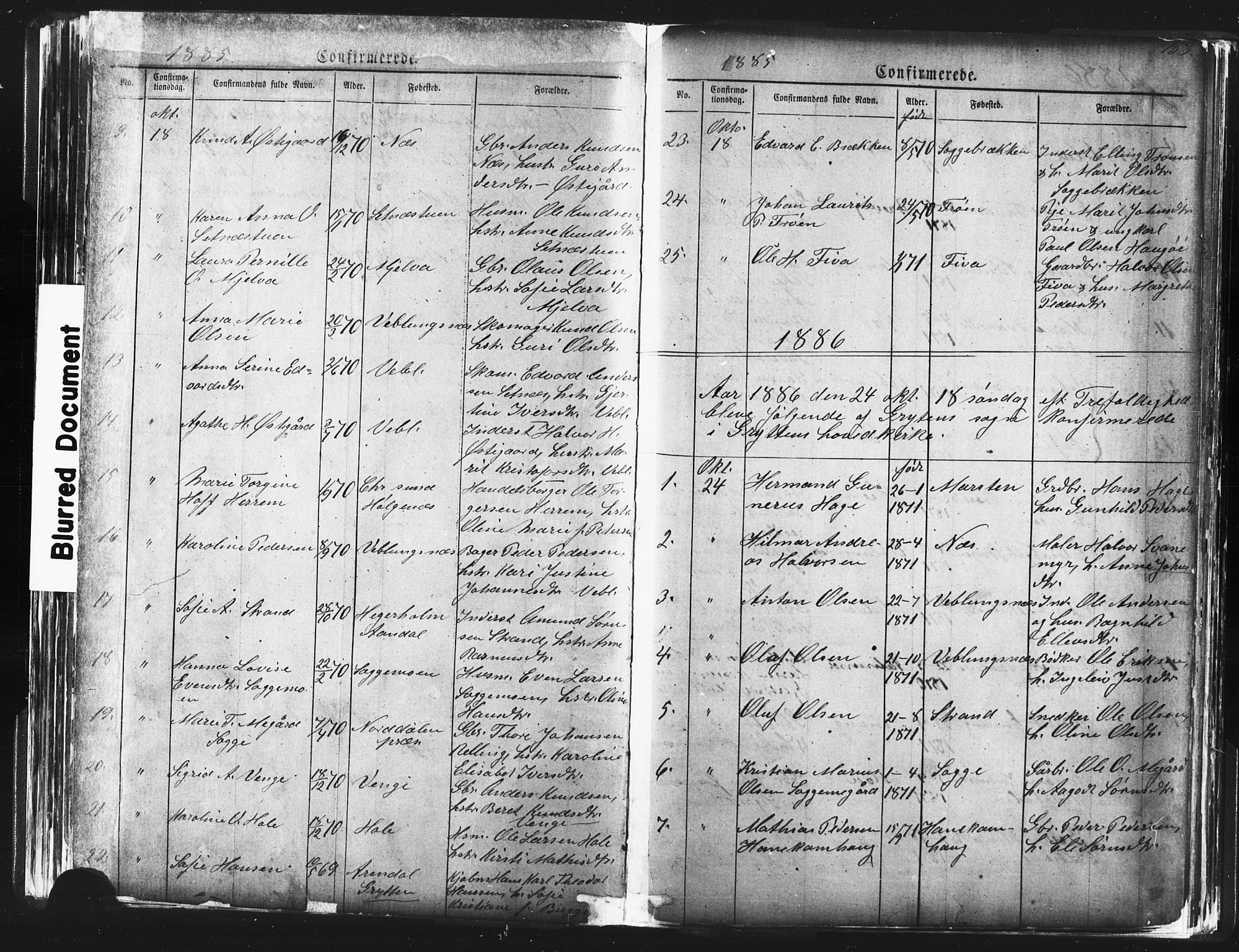 Ministerialprotokoller, klokkerbøker og fødselsregistre - Møre og Romsdal, SAT/A-1454/544/L0580: Parish register (copy) no. 544C02, 1867-1909, p. 163