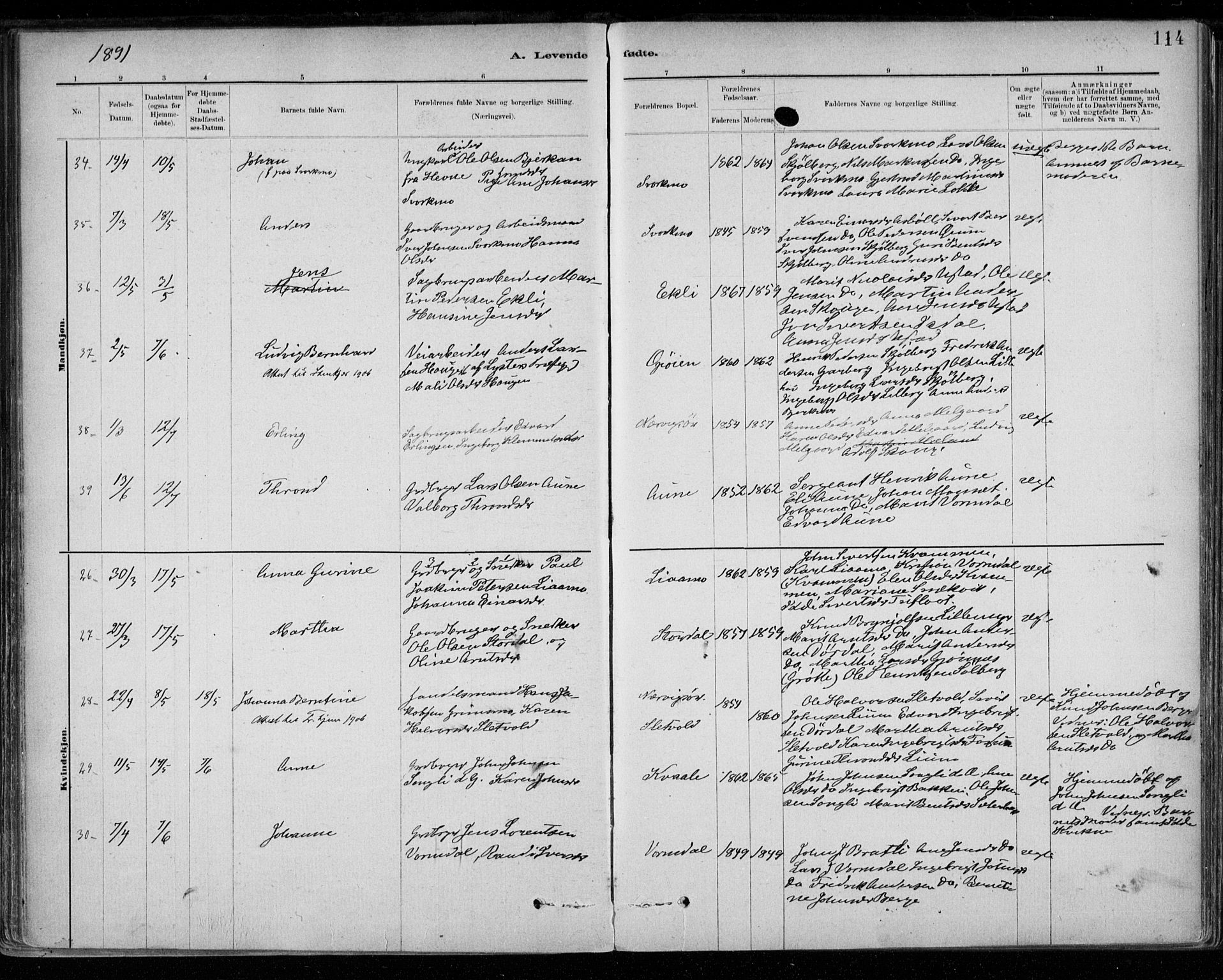 Ministerialprotokoller, klokkerbøker og fødselsregistre - Sør-Trøndelag, AV/SAT-A-1456/668/L0809: Parish register (official) no. 668A09, 1881-1895, p. 114