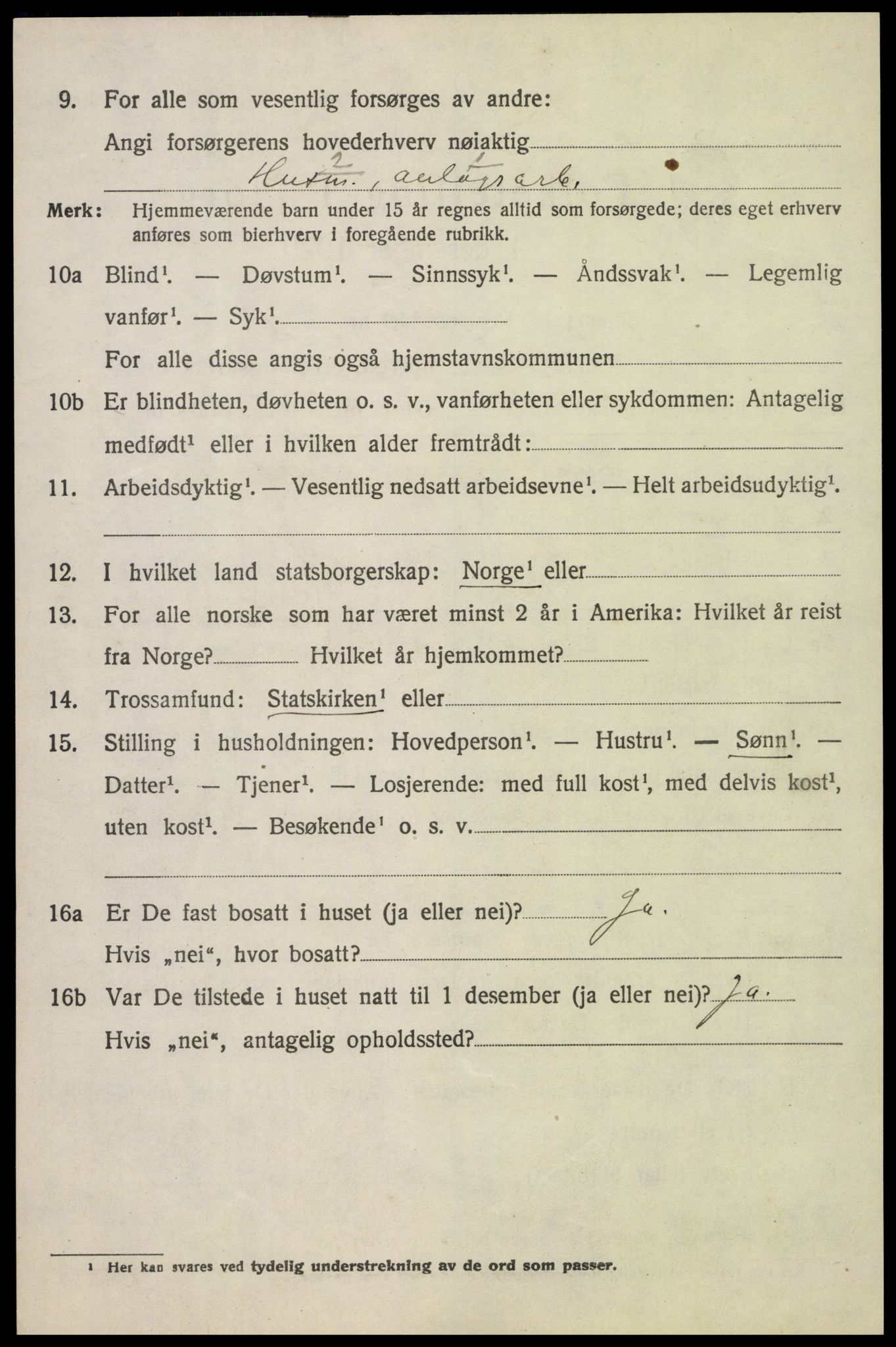 SAH, 1920 census for Sel, 1920, p. 3115