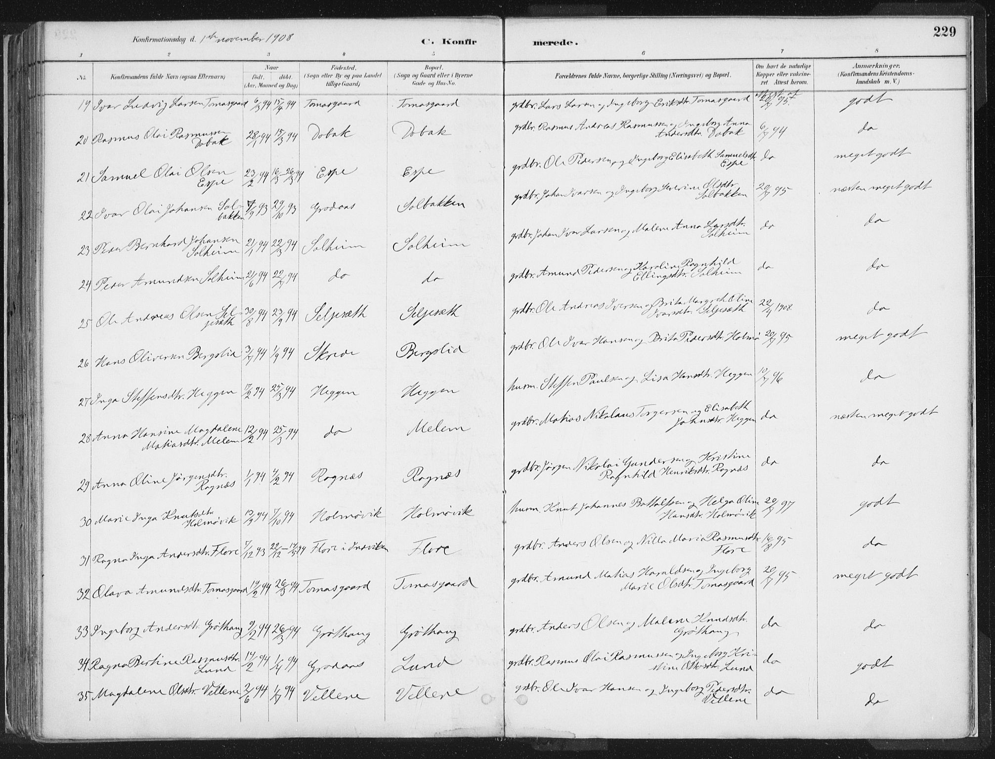 Hornindal sokneprestembete, AV/SAB-A-82401/H/Haa/Haaa/L0003/0001: Parish register (official) no. A 3A, 1887-1917, p. 229