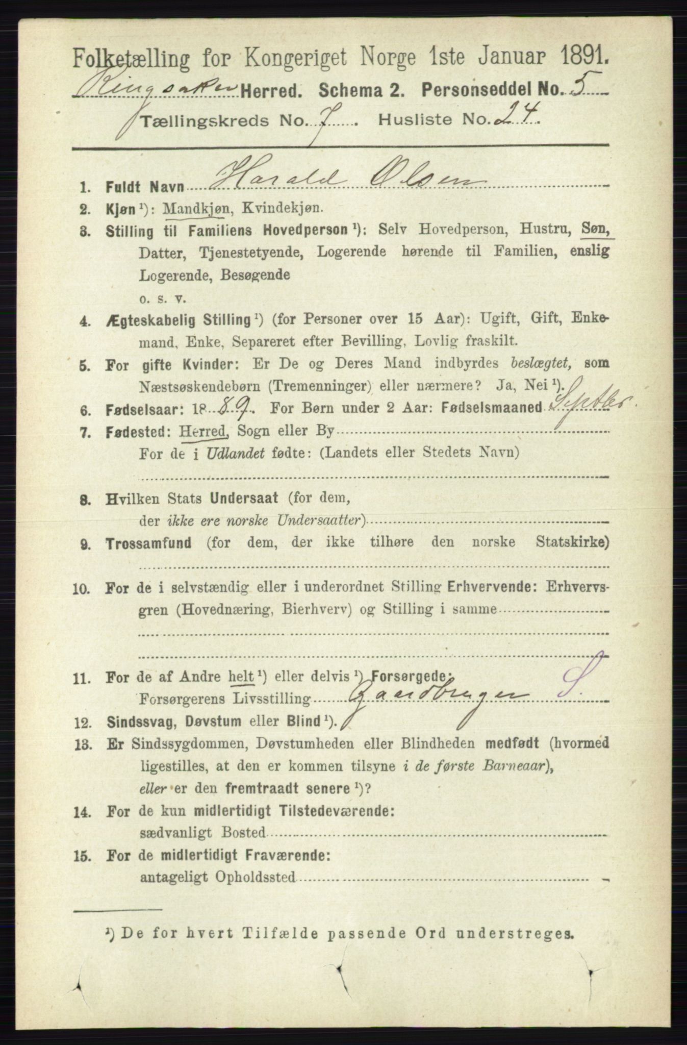 RA, 1891 census for 0412 Ringsaker, 1891, p. 4028