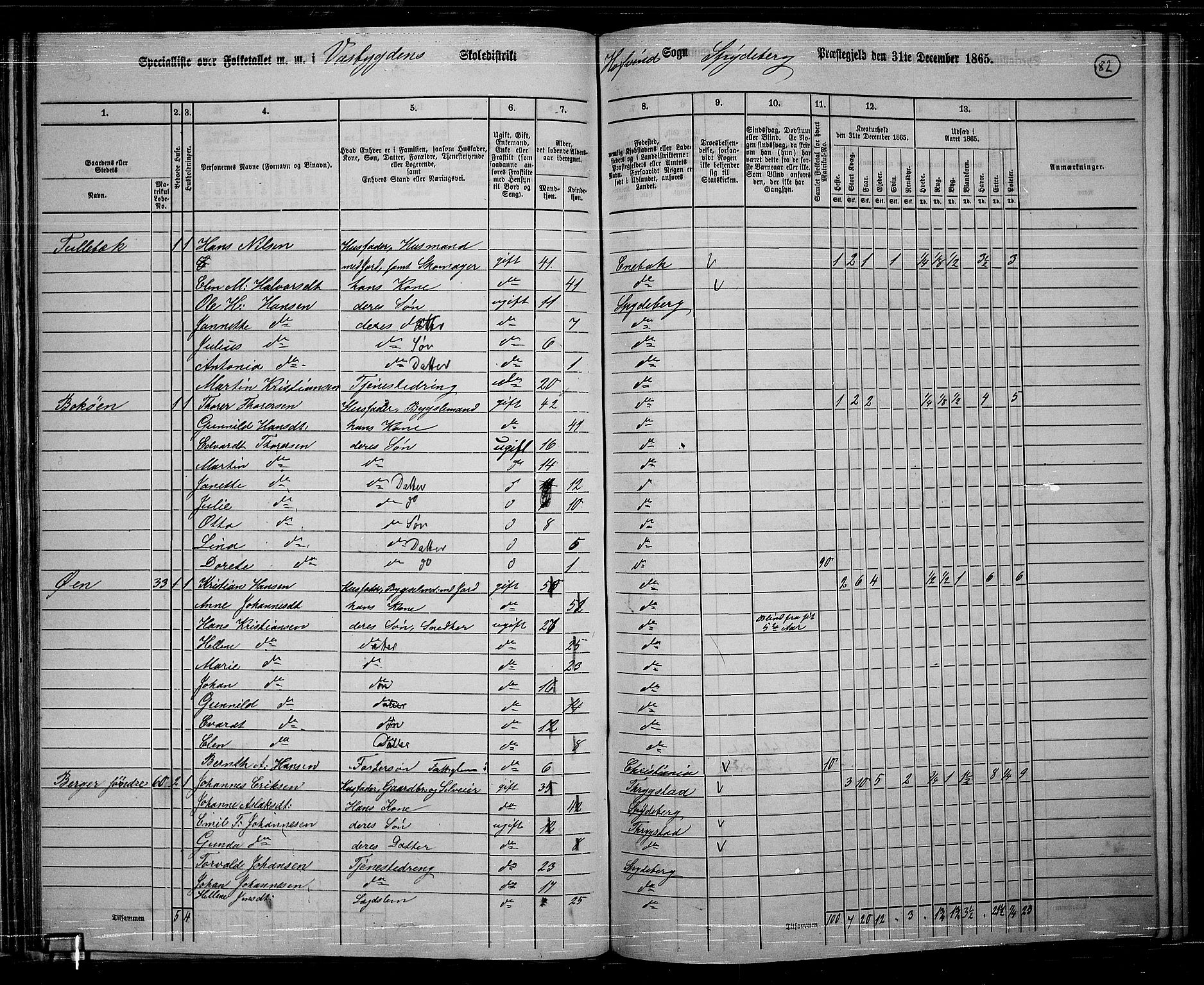 RA, 1865 census for Spydeberg, 1865, p. 73