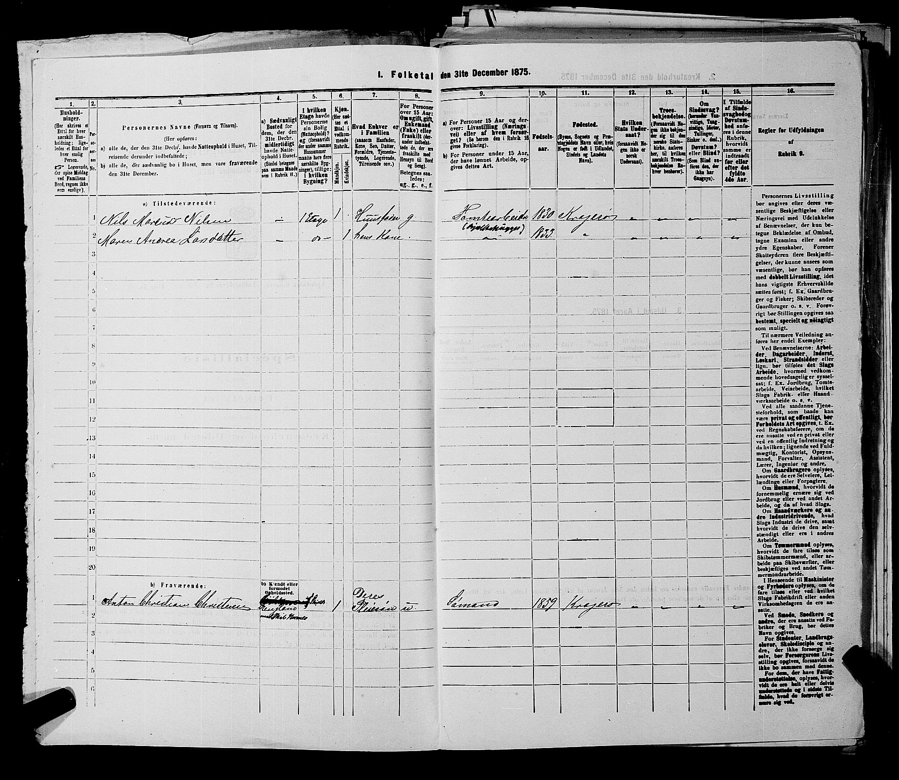 SAKO, 1875 census for 0801P Kragerø, 1875, p. 1238