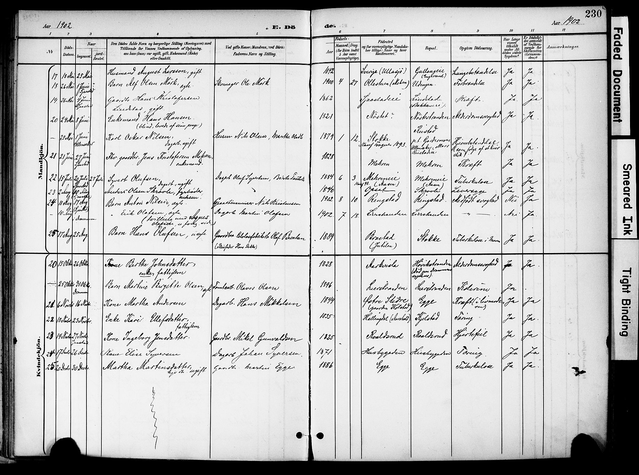 Lier kirkebøker, SAKO/A-230/F/Fa/L0017: Parish register (official) no. I 17, 1901-1908, p. 230