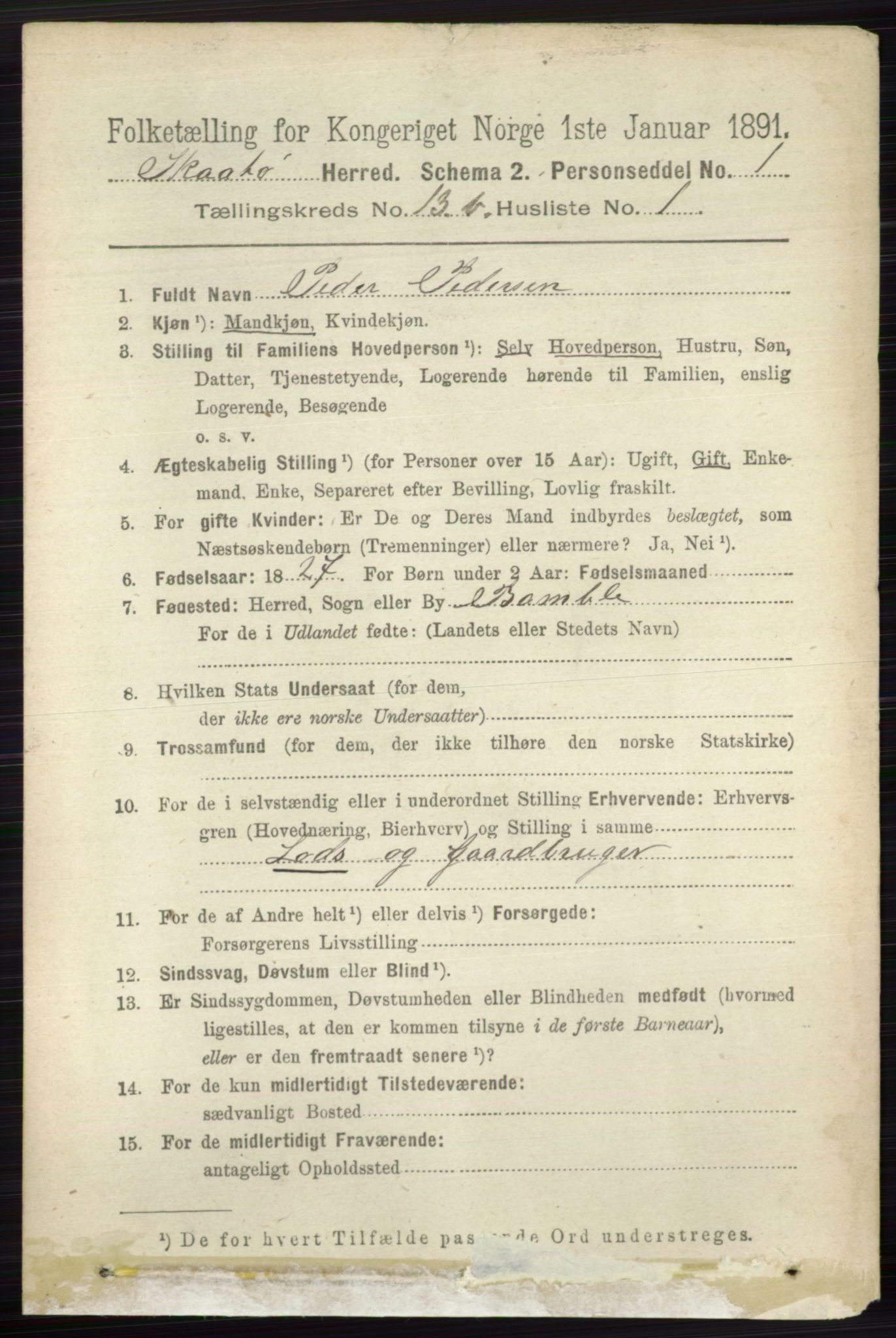 RA, 1891 census for 0815 Skåtøy, 1891, p. 4839