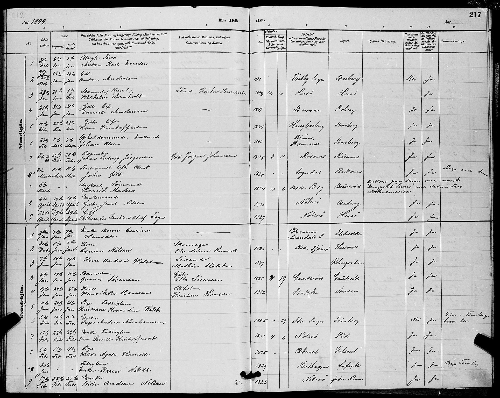 Sem kirkebøker, AV/SAKO-A-5/G/Gb/L0002: Parish register (copy) no. II 2, 1886-1899, p. 217