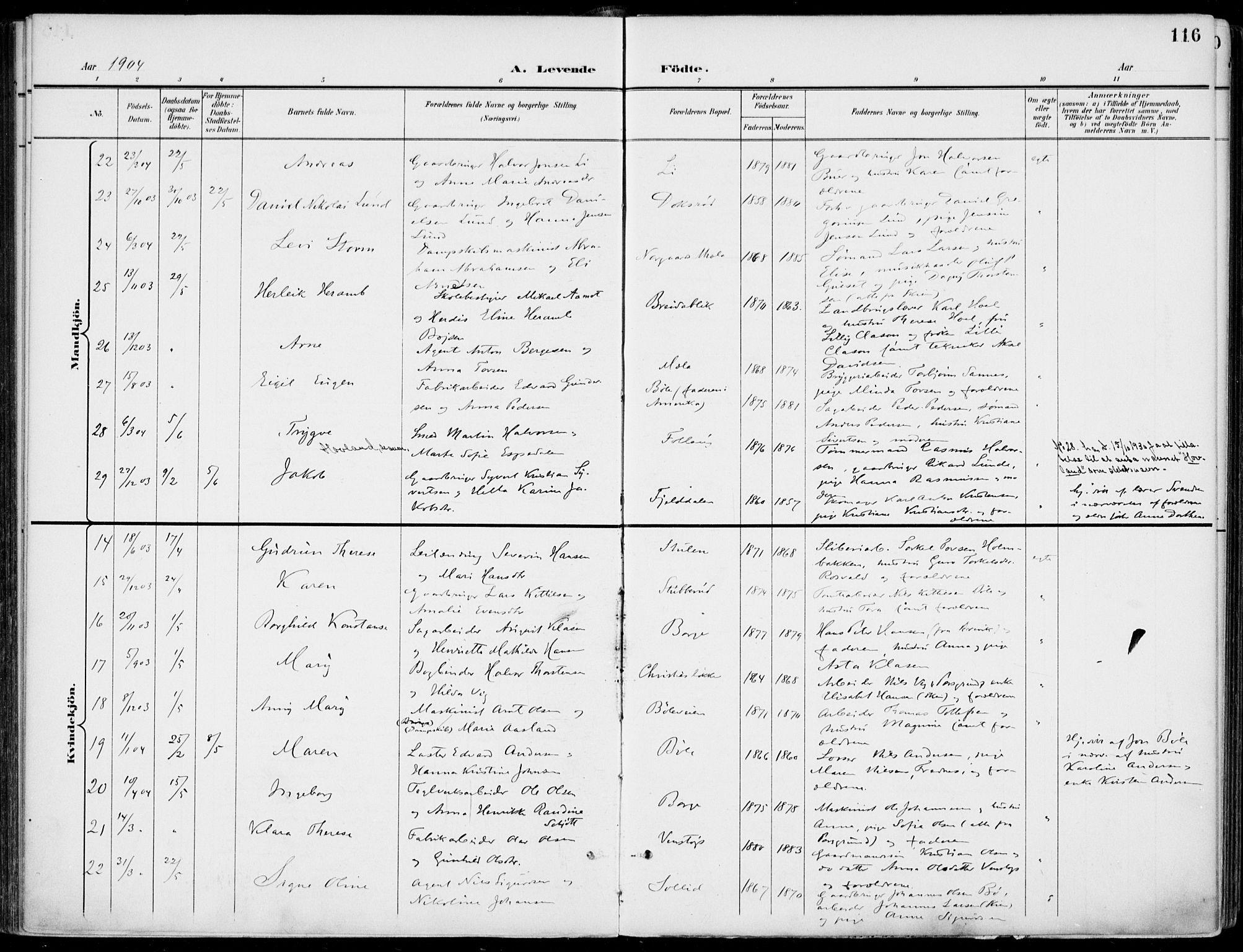 Gjerpen kirkebøker, SAKO/A-265/F/Fa/L0011: Parish register (official) no. I 11, 1896-1904, p. 116