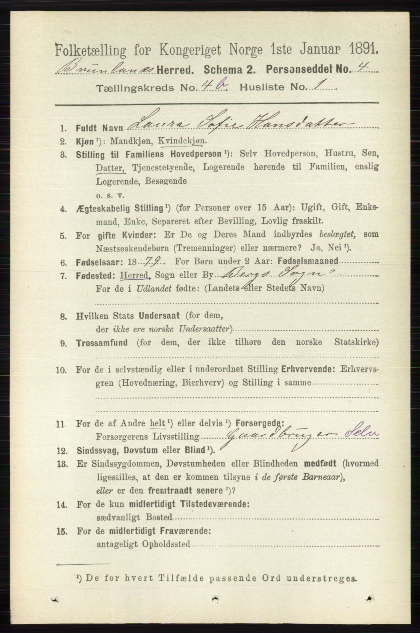 RA, 1891 census for 0726 Brunlanes, 1891, p. 2035