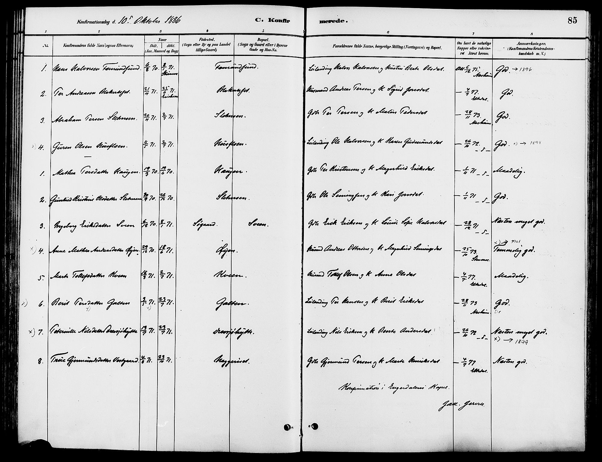 Engerdal prestekontor, AV/SAH-PREST-048/H/Ha/Haa/L0001: Parish register (official) no. 1, 1881-1898, p. 85