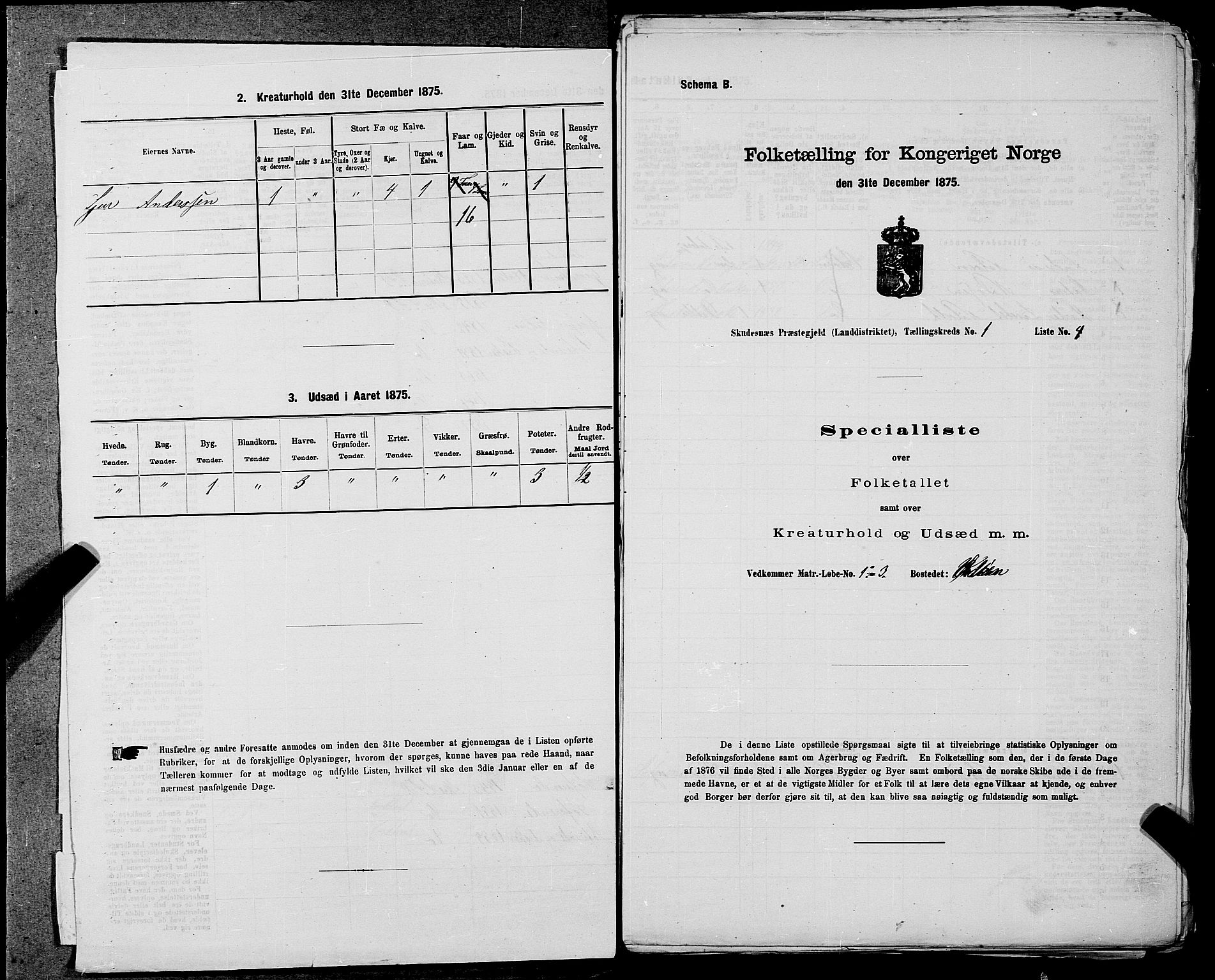 SAST, 1875 census for 1150L Skudenes/Falnes, Åkra og Ferkingstad, 1875, p. 74