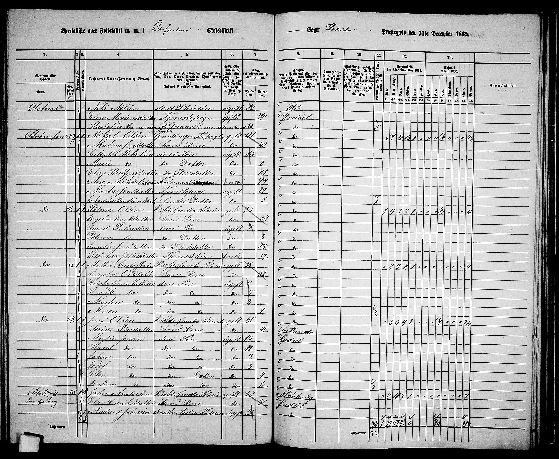 RA, 1865 census for Hadsel, 1865, p. 137