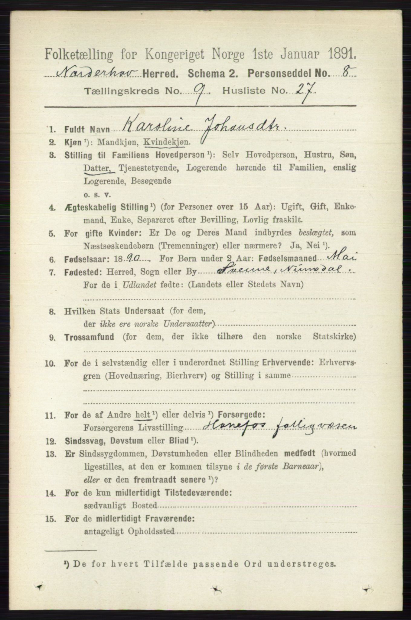 RA, 1891 census for 0613 Norderhov, 1891, p. 6772