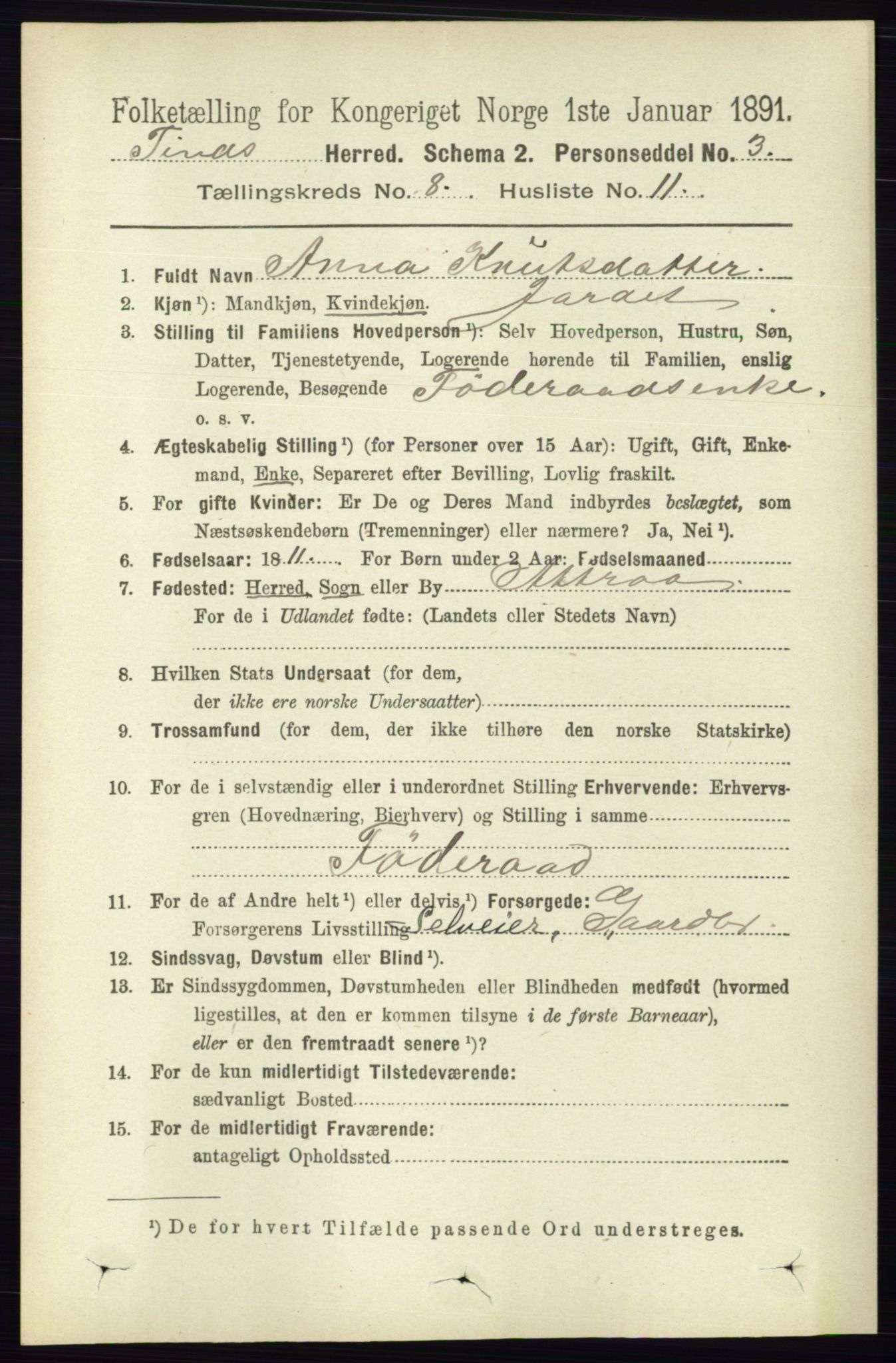 RA, 1891 census for 0826 Tinn, 1891, p. 1710