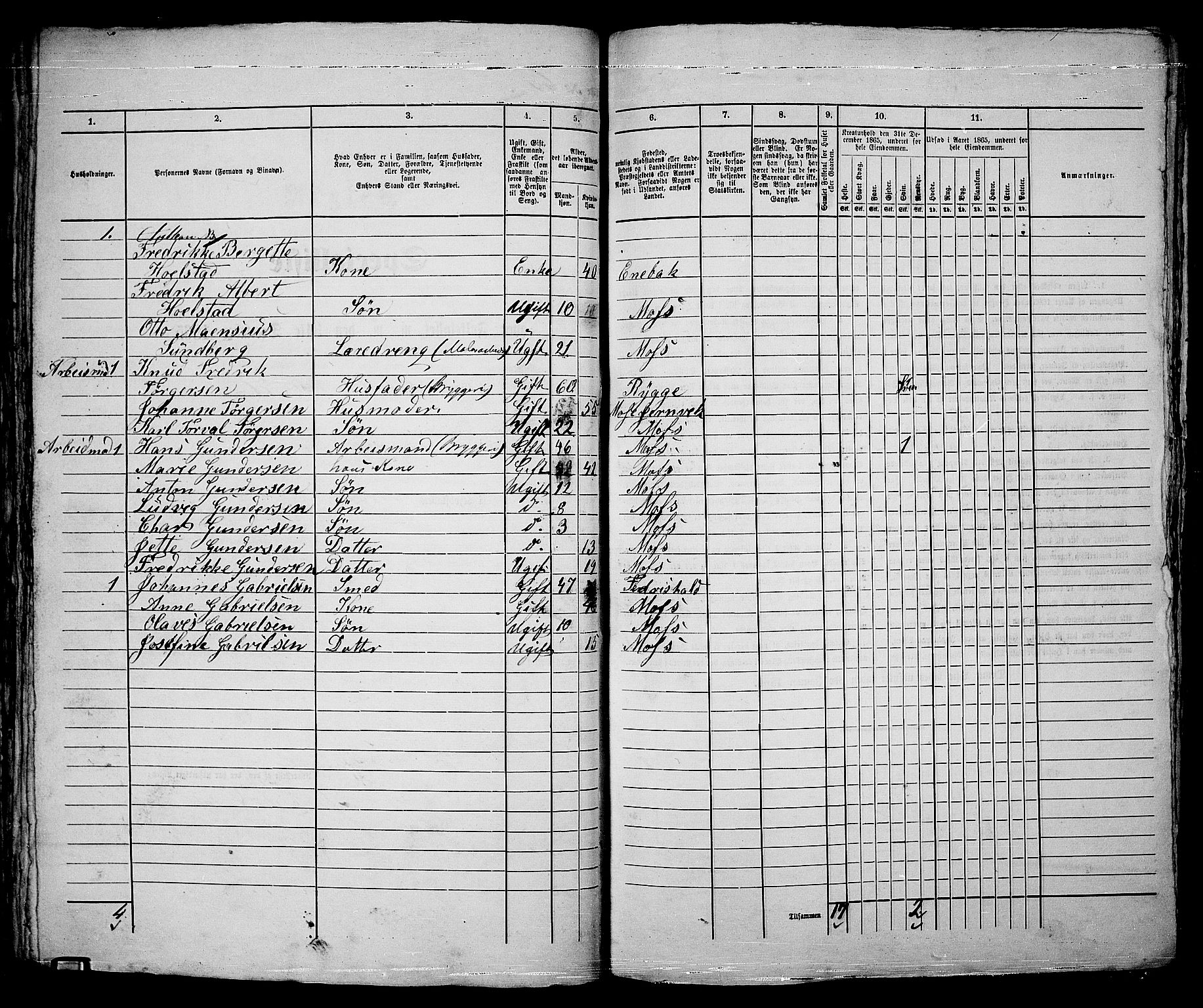 RA, 1865 census for Moss/Moss, 1865, p. 126