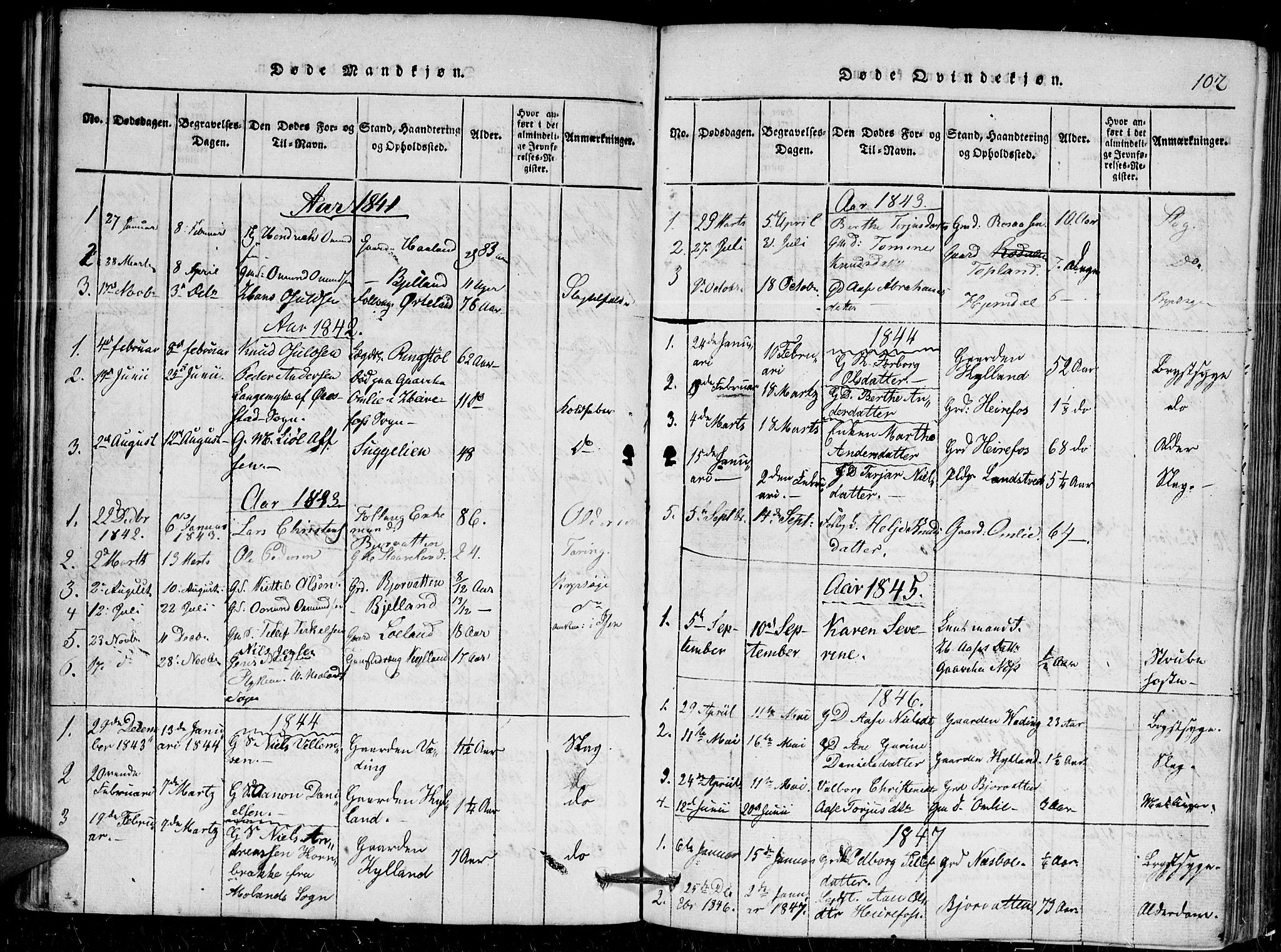 Herefoss sokneprestkontor, AV/SAK-1111-0019/F/Fa/Faa/L0001: Parish register (official) no. A 1, 1816-1860, p. 102