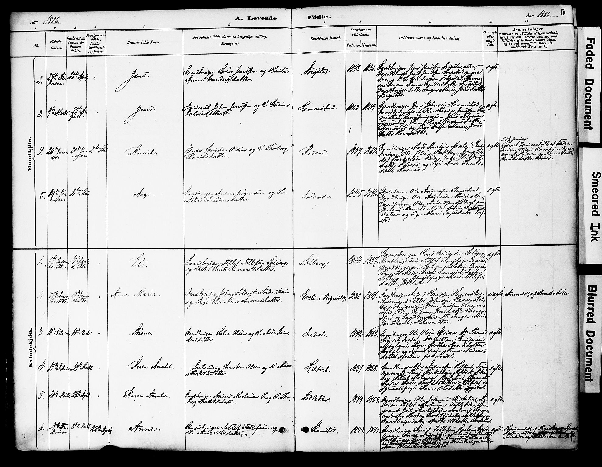 Evje sokneprestkontor, AV/SAK-1111-0008/F/Fa/Fac/L0003: Parish register (official) no. A 3, 1884-1909, p. 5