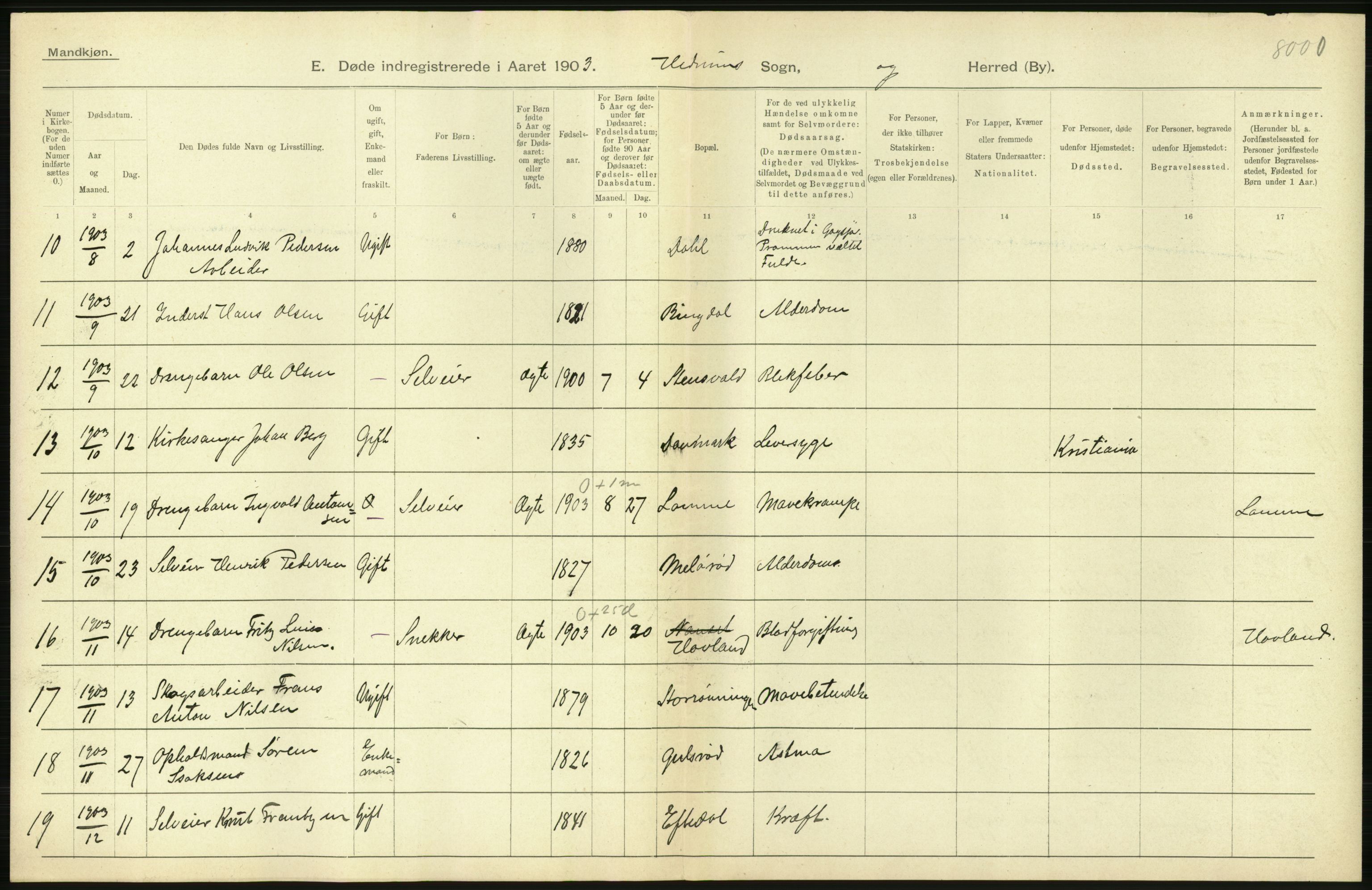 Statistisk sentralbyrå, Sosiodemografiske emner, Befolkning, RA/S-2228/D/Df/Dfa/Dfaa/L0008: Jarlsberg og Larvik amt: Fødte, gifte, døde, 1903, p. 498