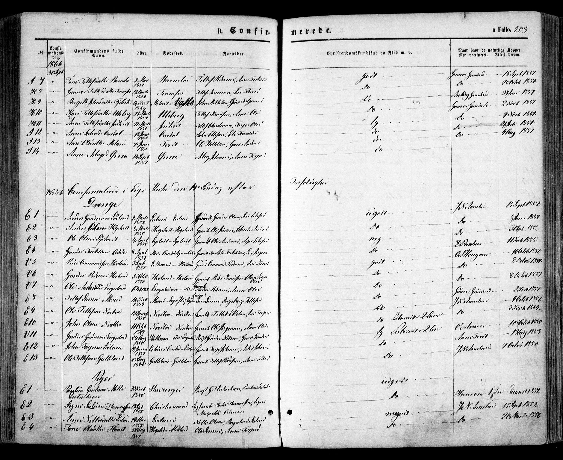 Evje sokneprestkontor, SAK/1111-0008/F/Fa/Faa/L0006: Parish register (official) no. A 6, 1866-1884, p. 203