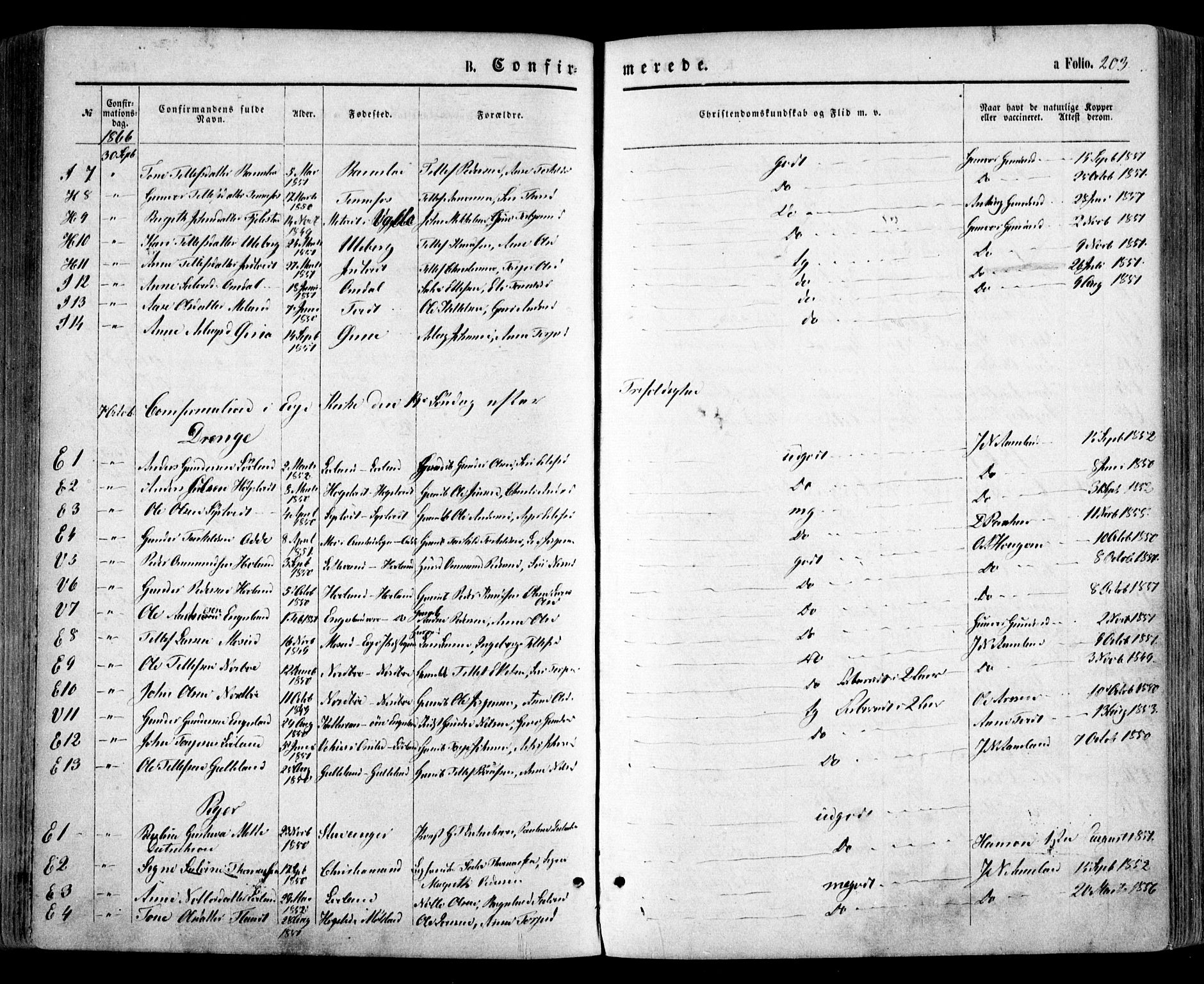 Evje sokneprestkontor, AV/SAK-1111-0008/F/Fa/Faa/L0006: Parish register (official) no. A 6, 1866-1884, p. 203