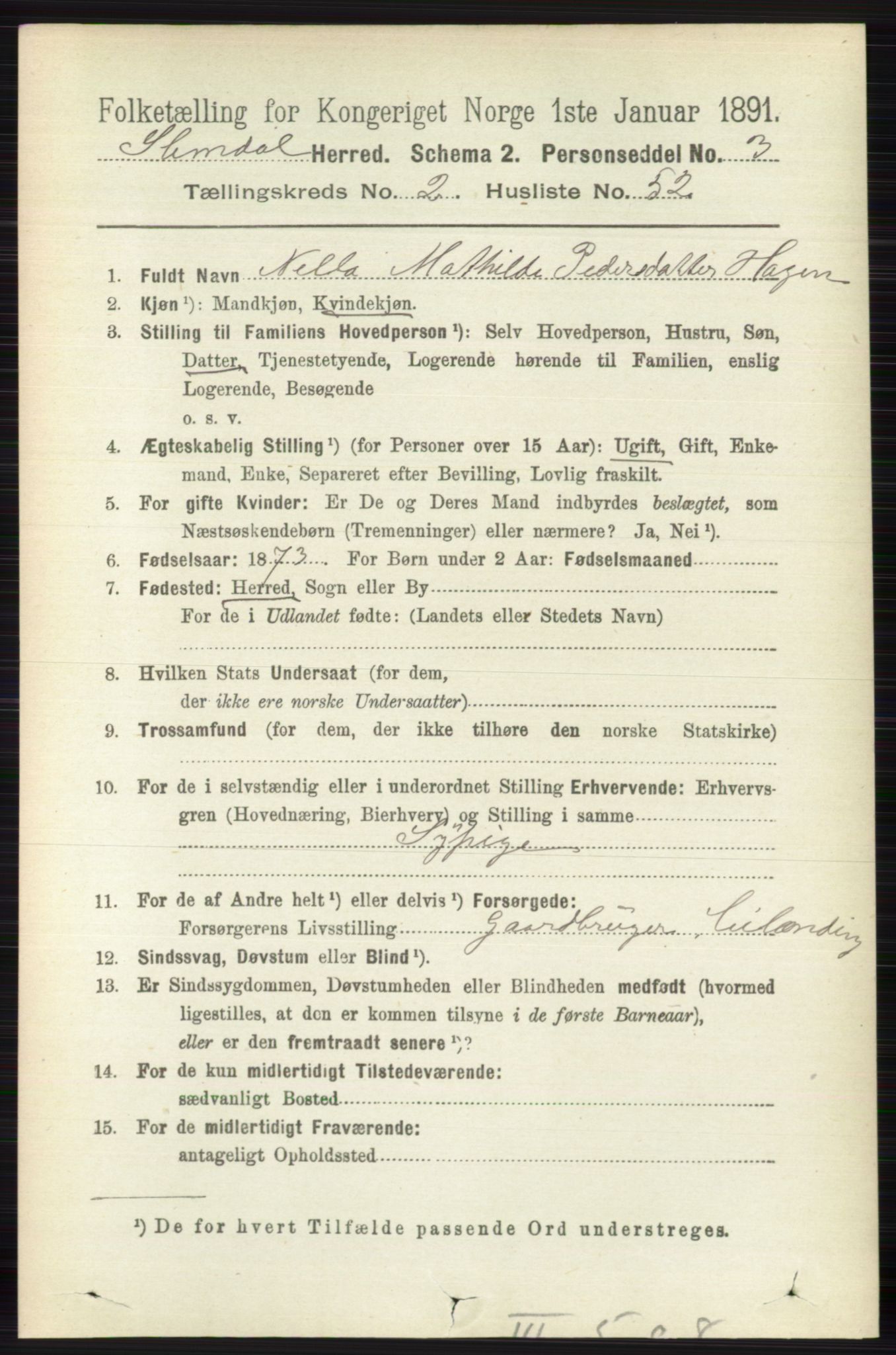 RA, 1891 census for 0811 Slemdal, 1891, p. 690