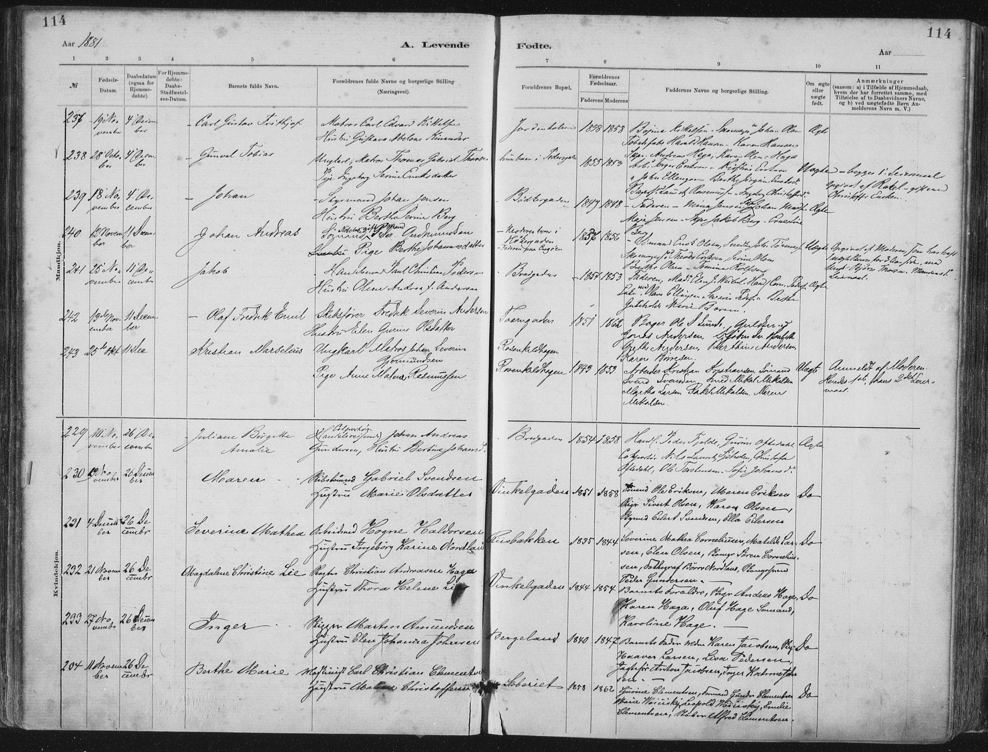 St. Petri sokneprestkontor, AV/SAST-A-101813/001/30/30BA/L0015: Parish register (official) no. A 15, 1879-1888, p. 114