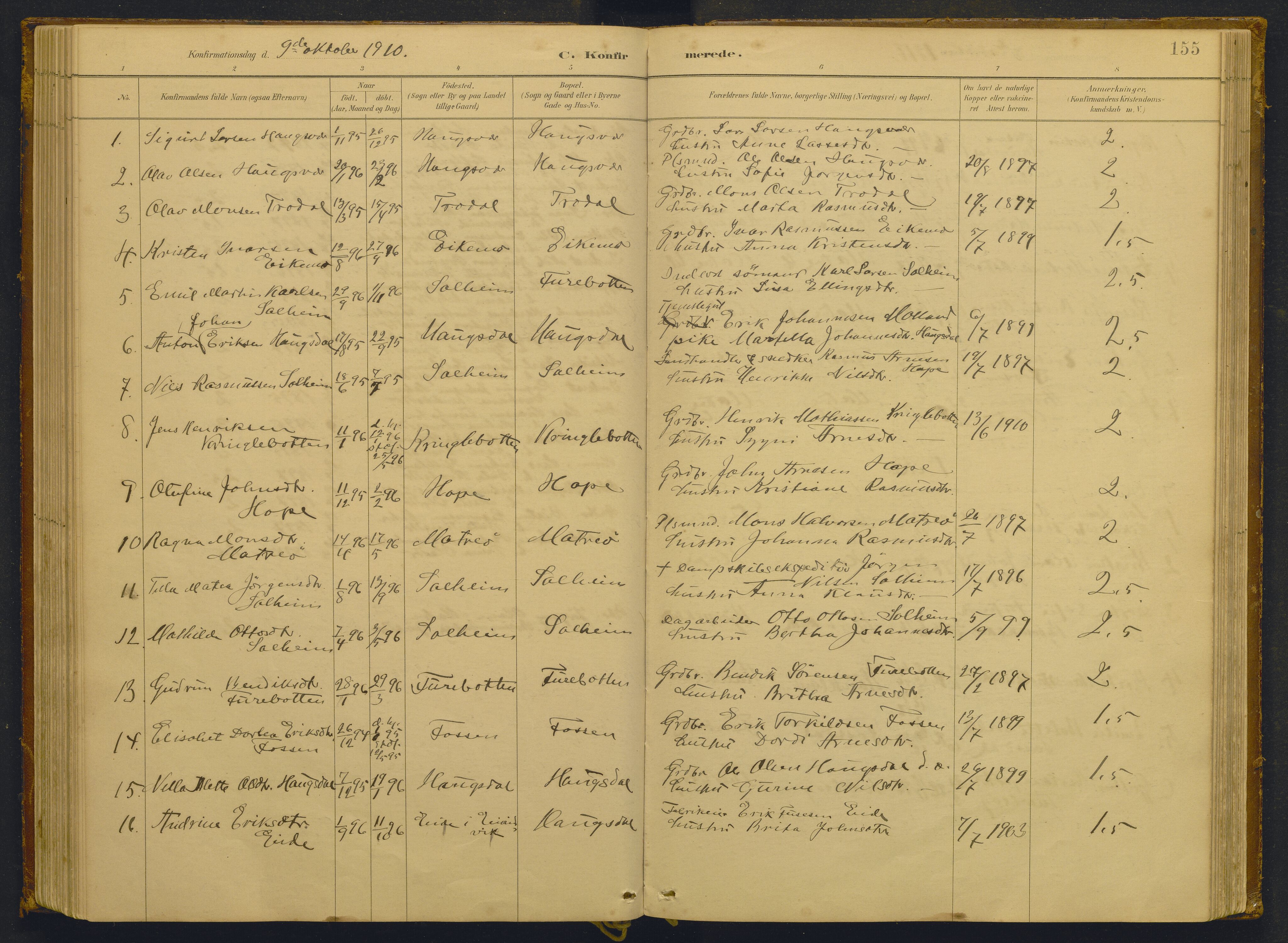 Masfjorden sokneprestembete, AV/SAB-A-77001: Parish register (copy) no. -, 1882-1933, p. 155