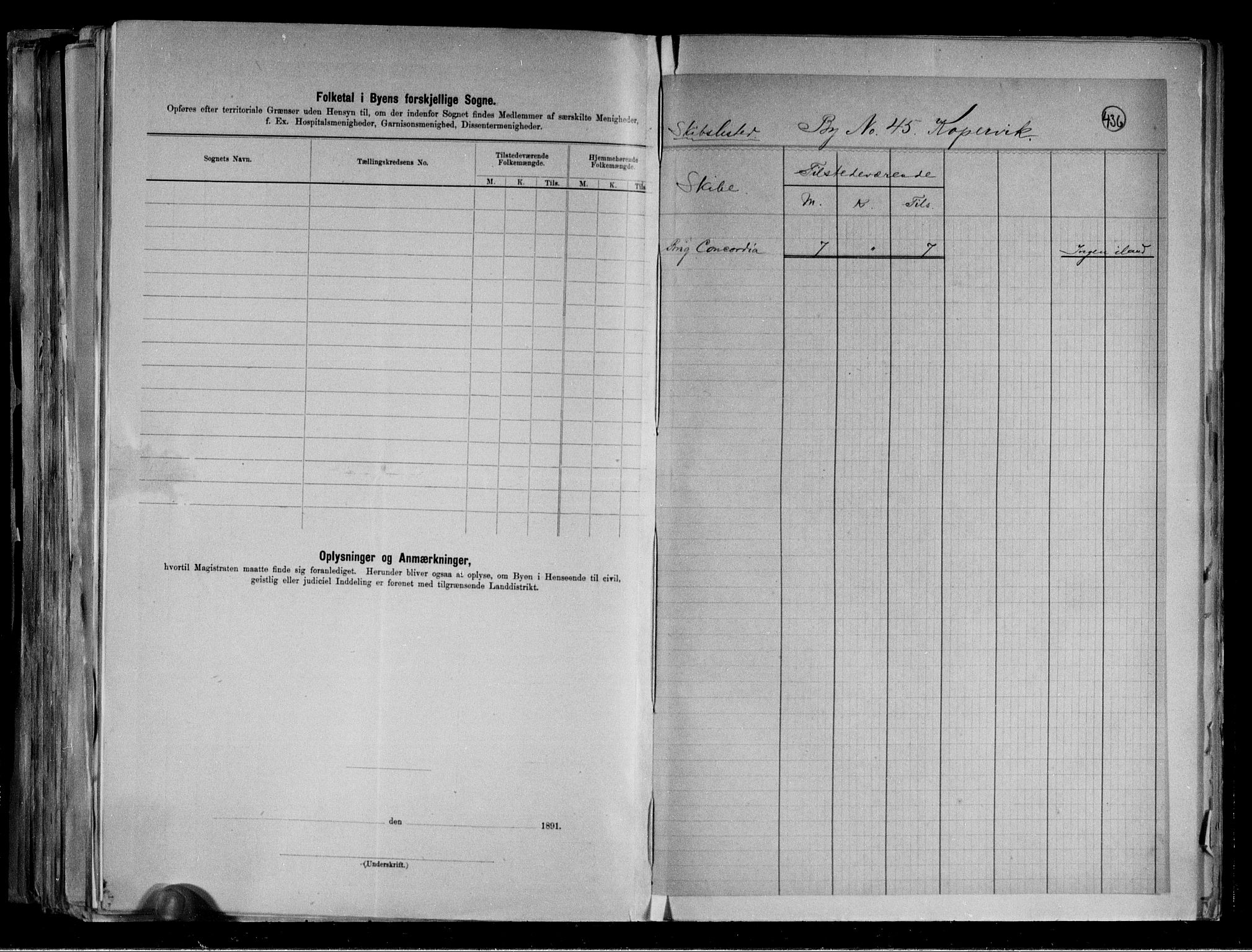 RA, 1891 census for 1105 Kopervik, 1891, p. 4