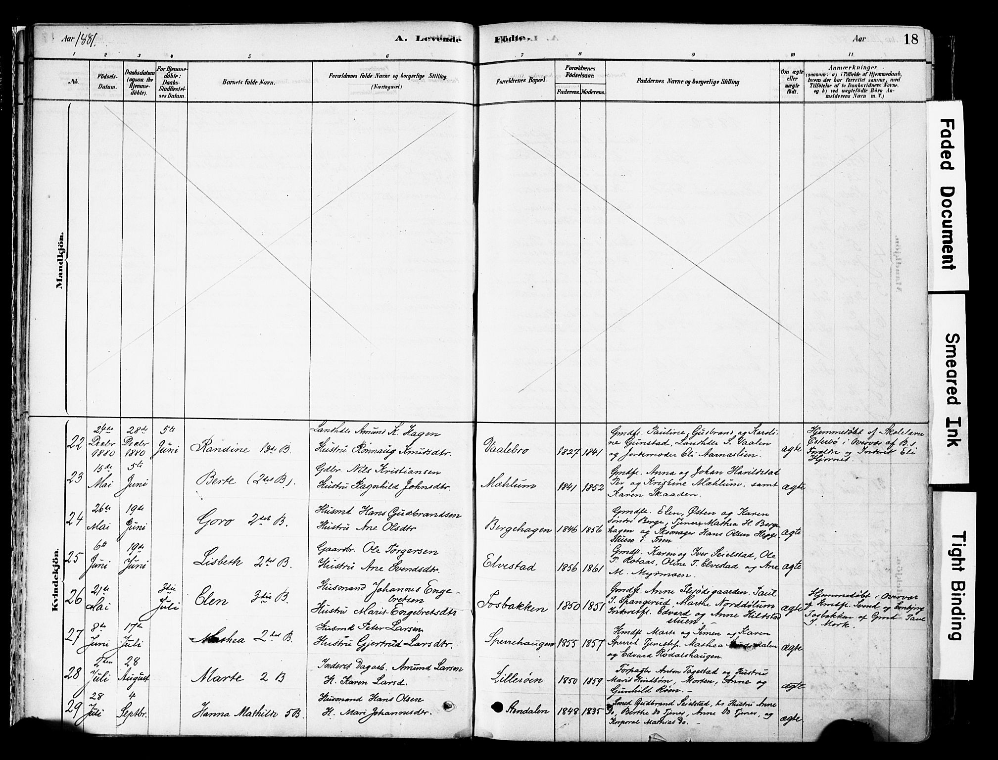 Ringebu prestekontor, AV/SAH-PREST-082/H/Ha/Haa/L0008: Parish register (official) no. 8, 1878-1898, p. 18