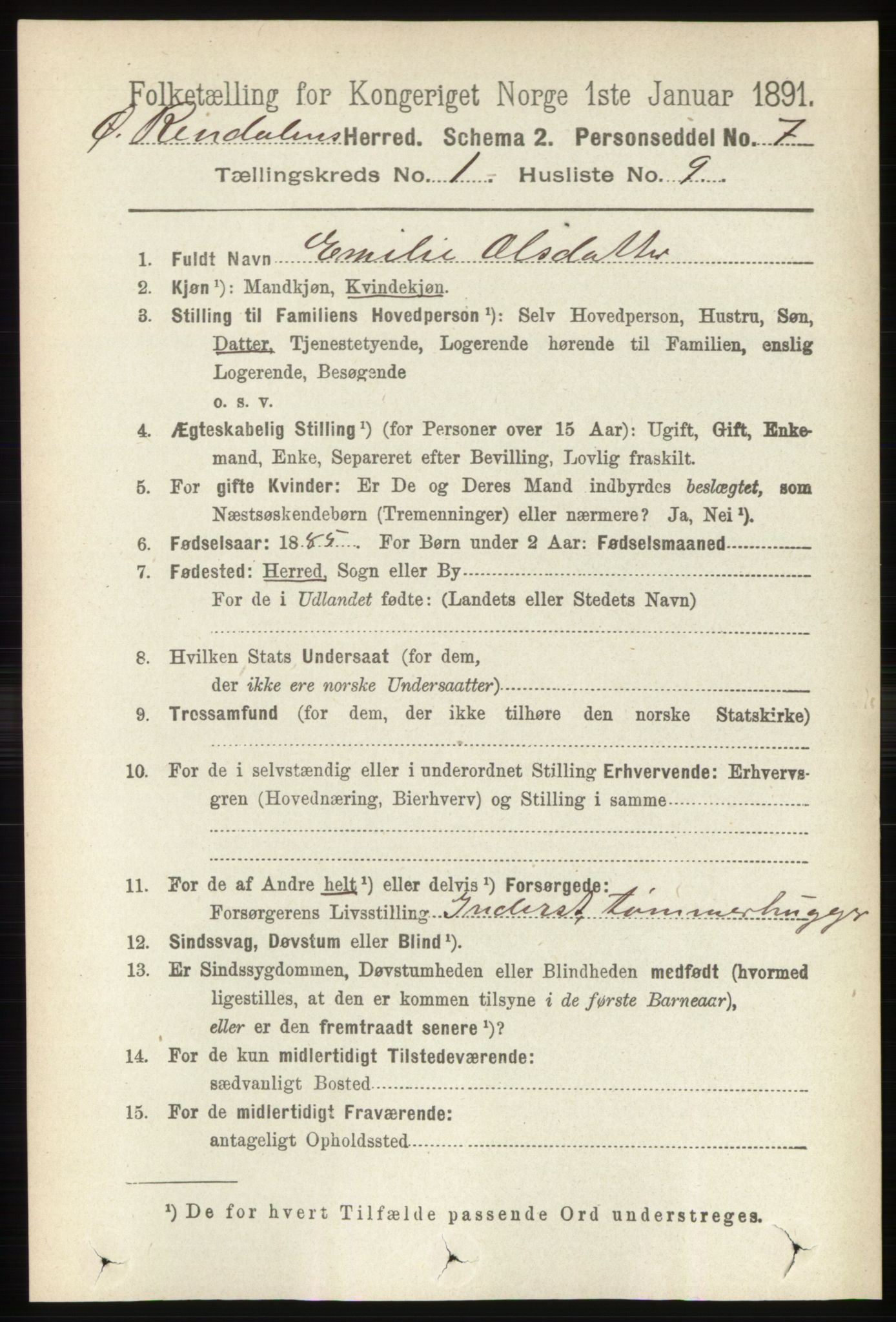 RA, 1891 census for 0433 Øvre Rendal, 1891, p. 119