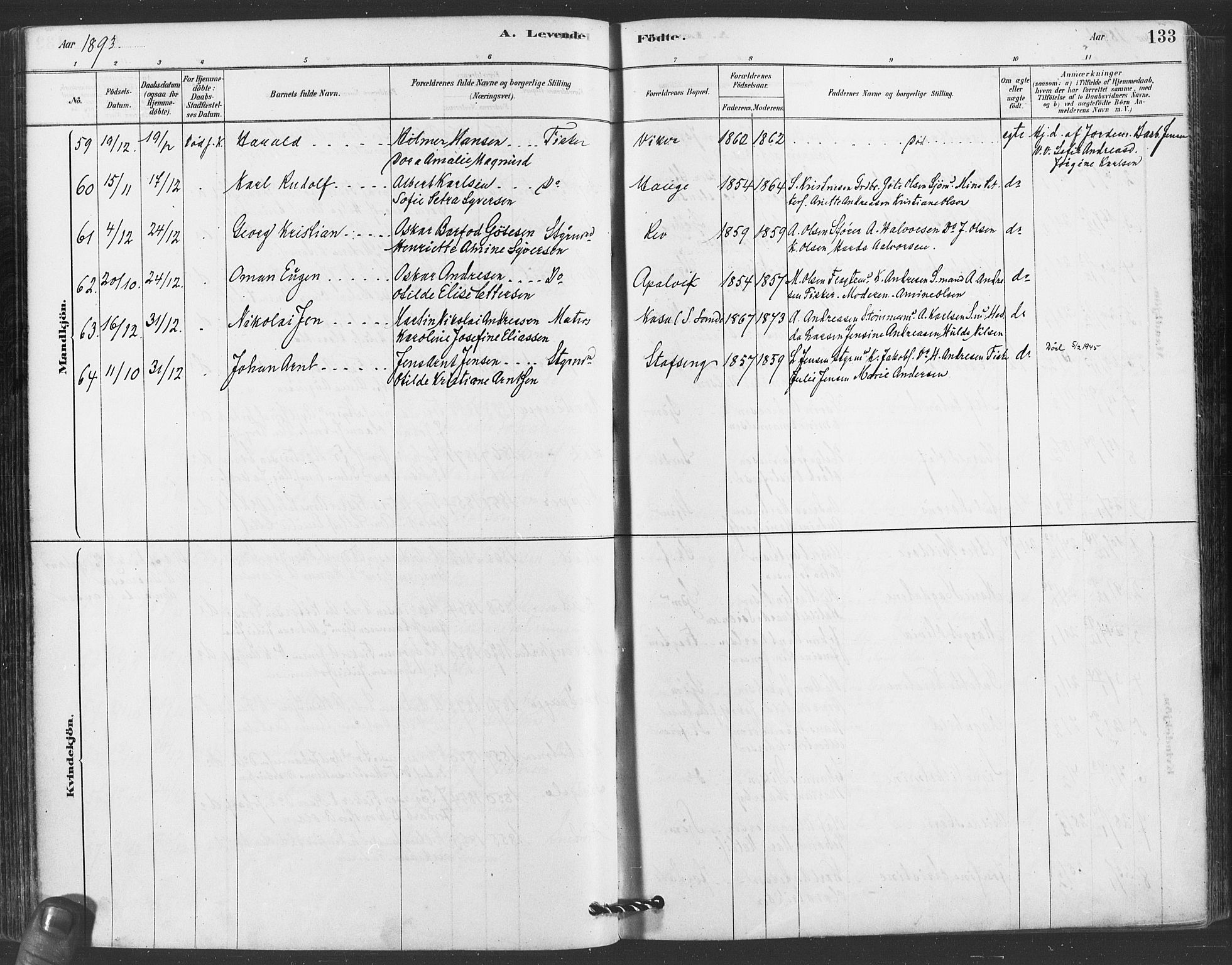 Hvaler prestekontor Kirkebøker, SAO/A-2001/F/Fa/L0008: Parish register (official) no. I 8, 1878-1895, p. 133