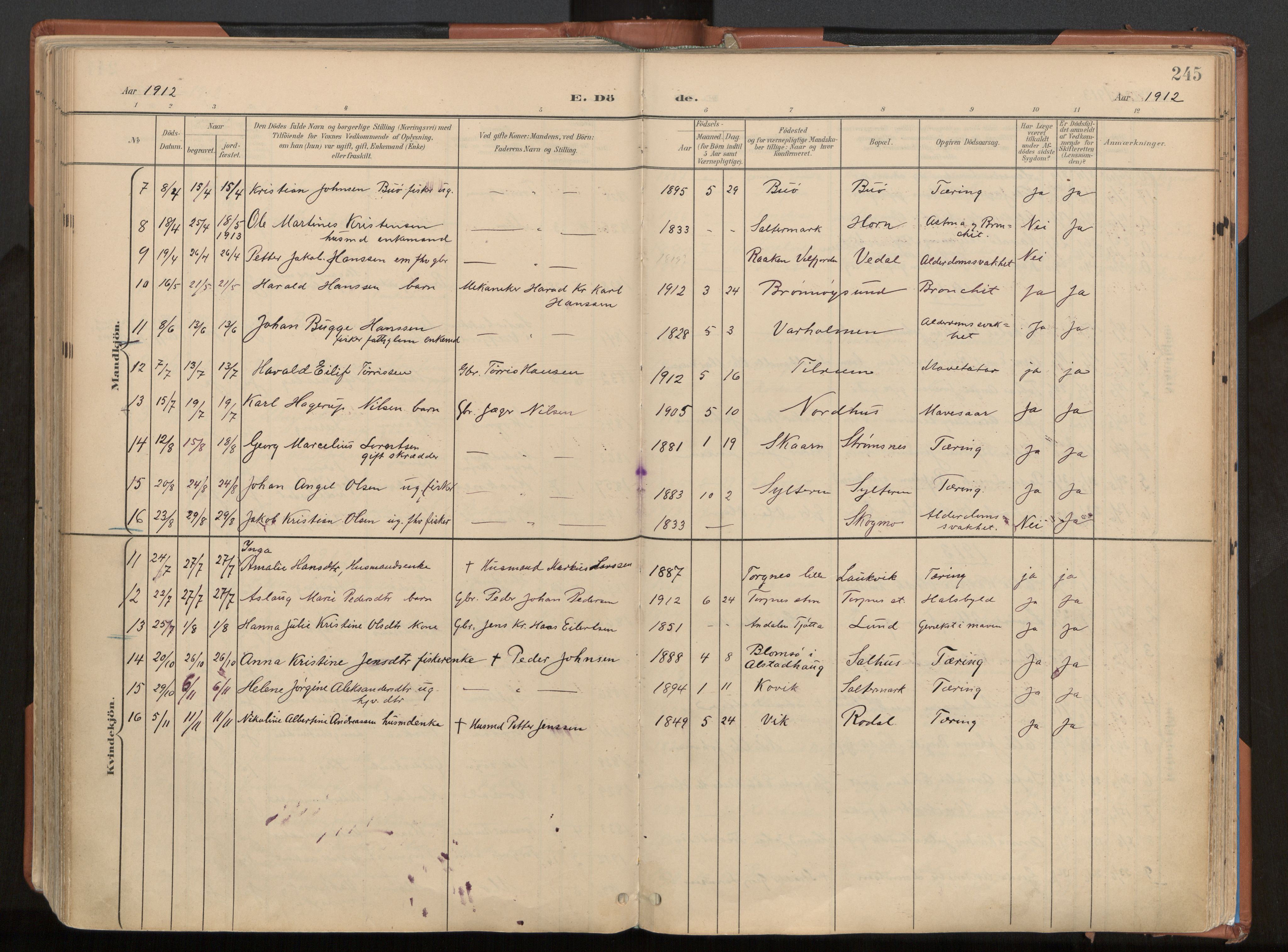 Ministerialprotokoller, klokkerbøker og fødselsregistre - Nordland, AV/SAT-A-1459/813/L0201: Parish register (official) no. 813A11, 1901-1918, p. 245