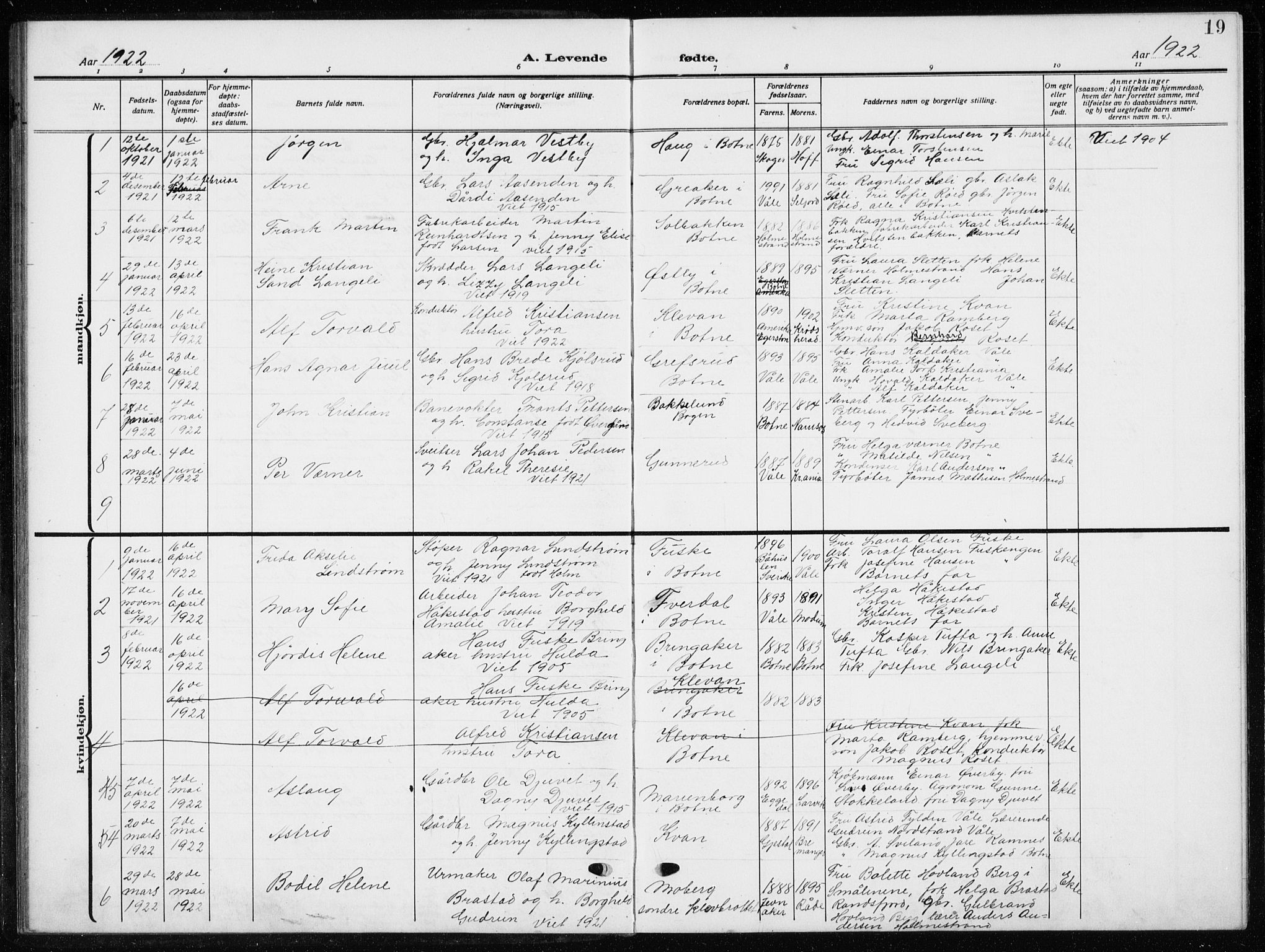 Botne kirkebøker, AV/SAKO-A-340/G/Ga/L0005: Parish register (copy) no. I 5, 1916-1934, p. 19