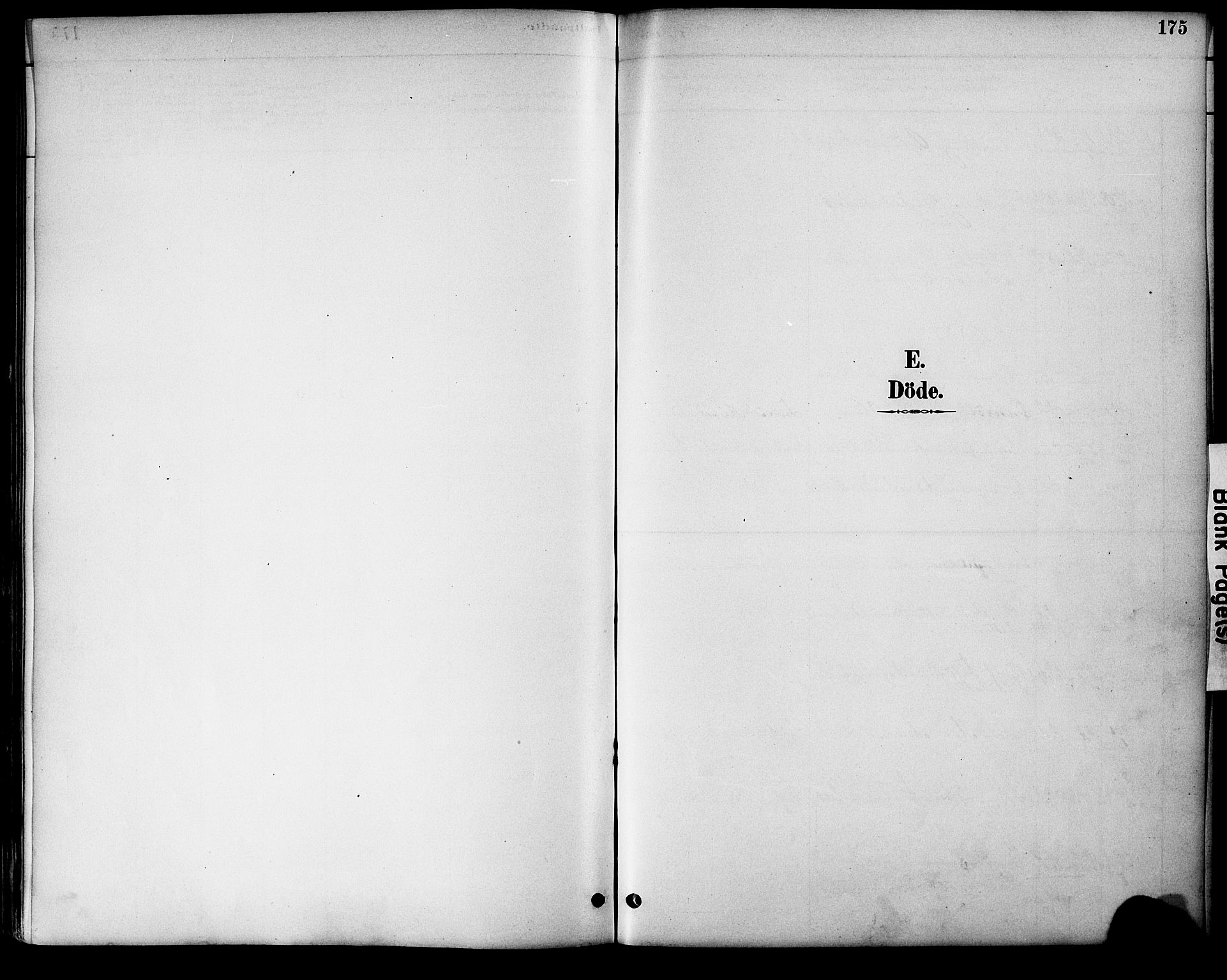 Evje sokneprestkontor, SAK/1111-0008/F/Fa/Fac/L0003: Parish register (official) no. A 3, 1884-1909, p. 175
