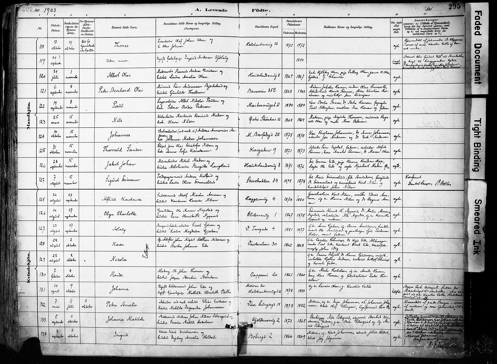 Domkirken sokneprestembete, SAB/A-74801/H/Haa/L0024: Parish register (official) no. B 7, 1888-1903, p. 295