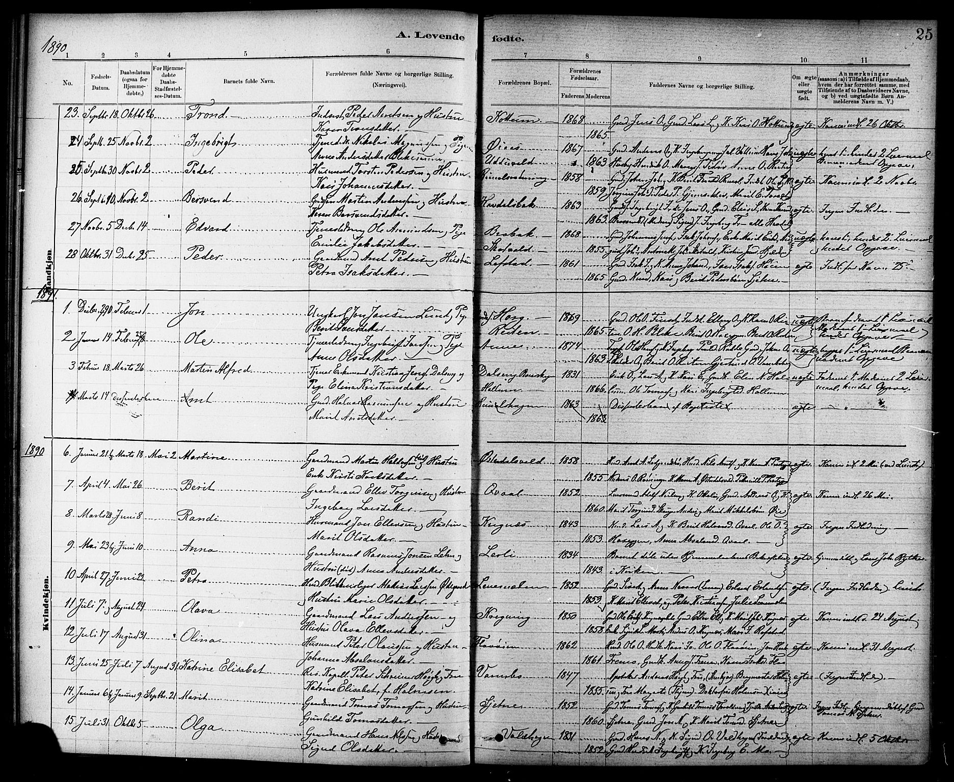Ministerialprotokoller, klokkerbøker og fødselsregistre - Sør-Trøndelag, SAT/A-1456/691/L1094: Parish register (copy) no. 691C05, 1879-1911, p. 25