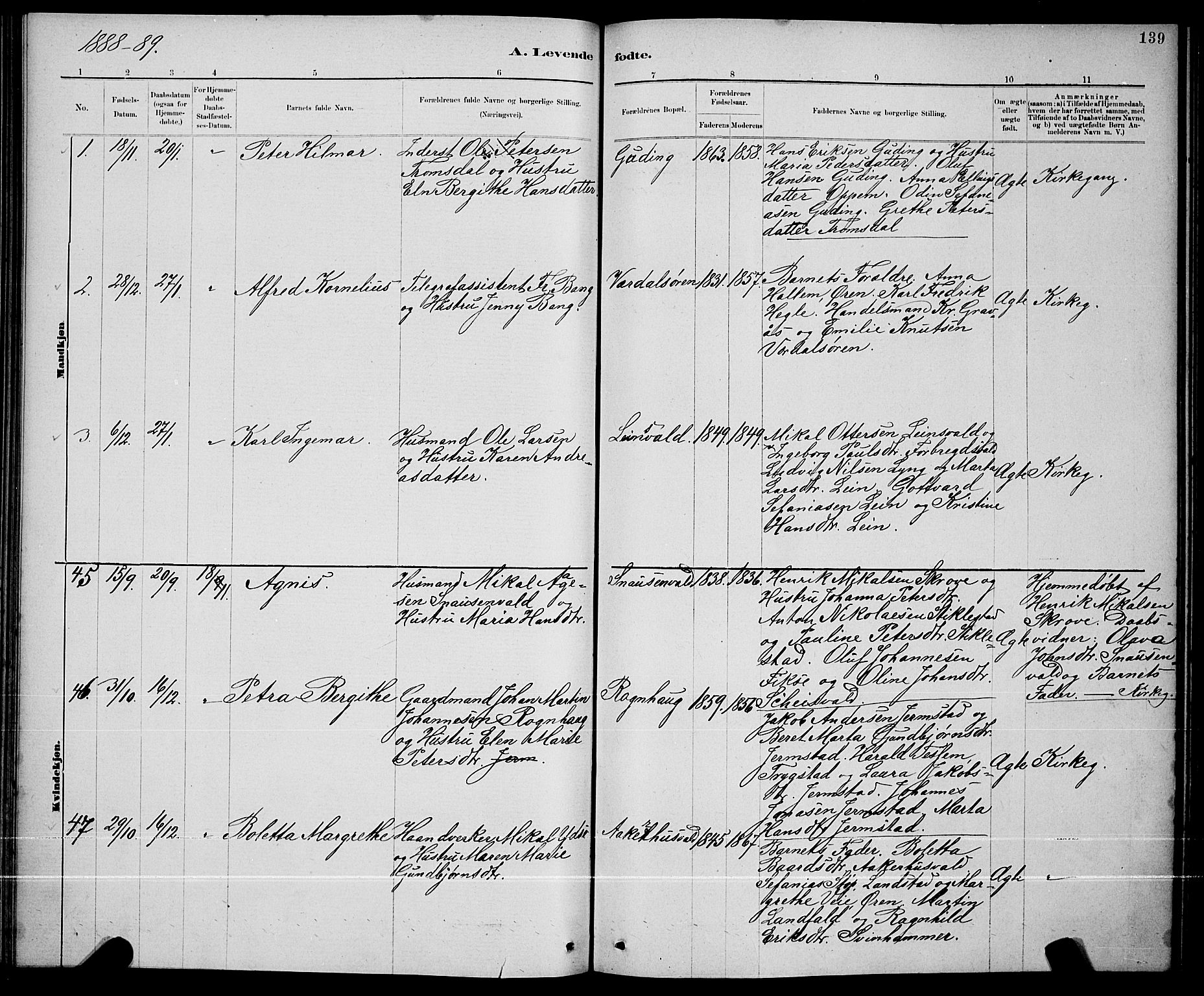 Ministerialprotokoller, klokkerbøker og fødselsregistre - Nord-Trøndelag, AV/SAT-A-1458/723/L0256: Parish register (copy) no. 723C04, 1879-1890, p. 139