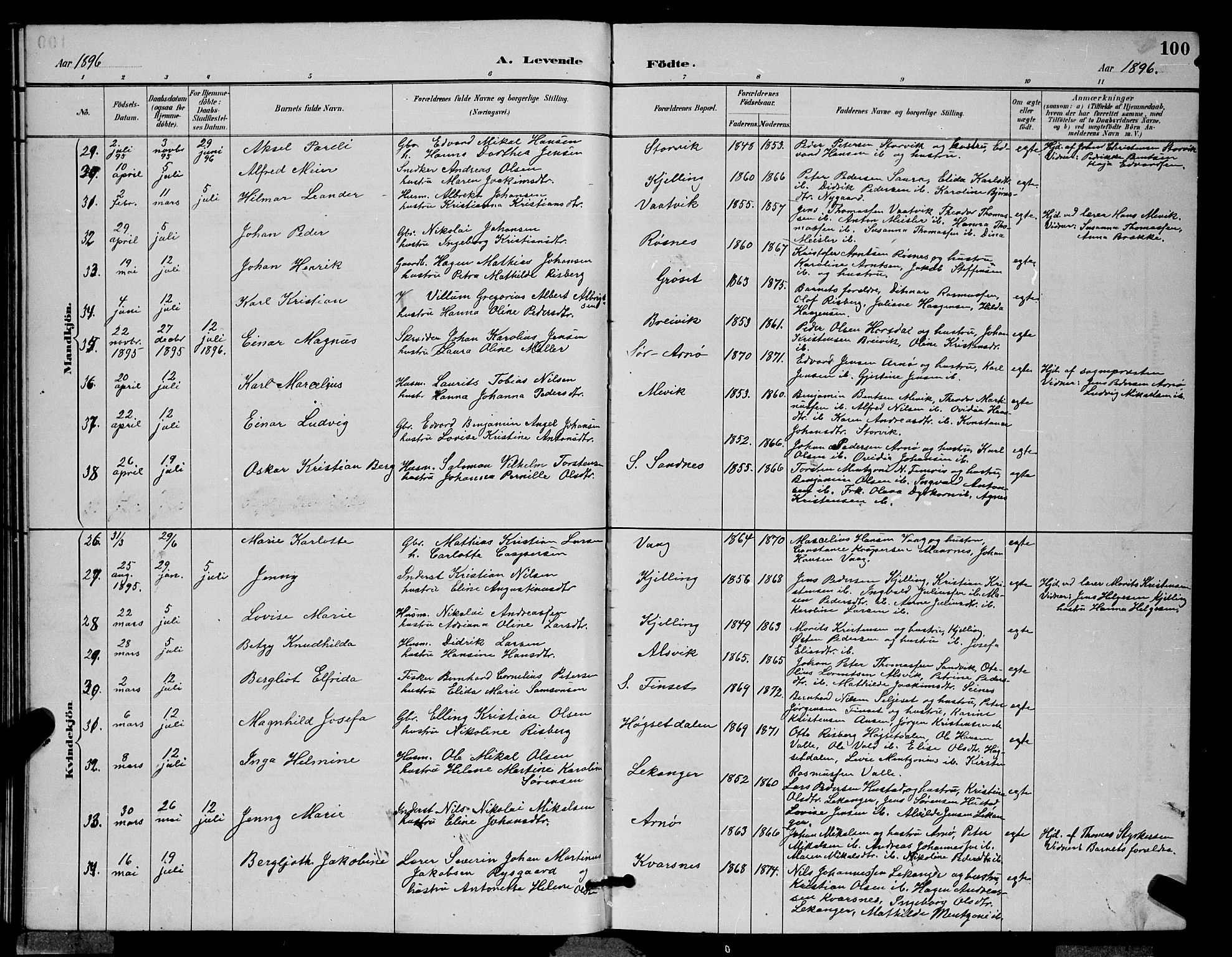 Ministerialprotokoller, klokkerbøker og fødselsregistre - Nordland, AV/SAT-A-1459/805/L0108: Parish register (copy) no. 805C04, 1885-1899, p. 100