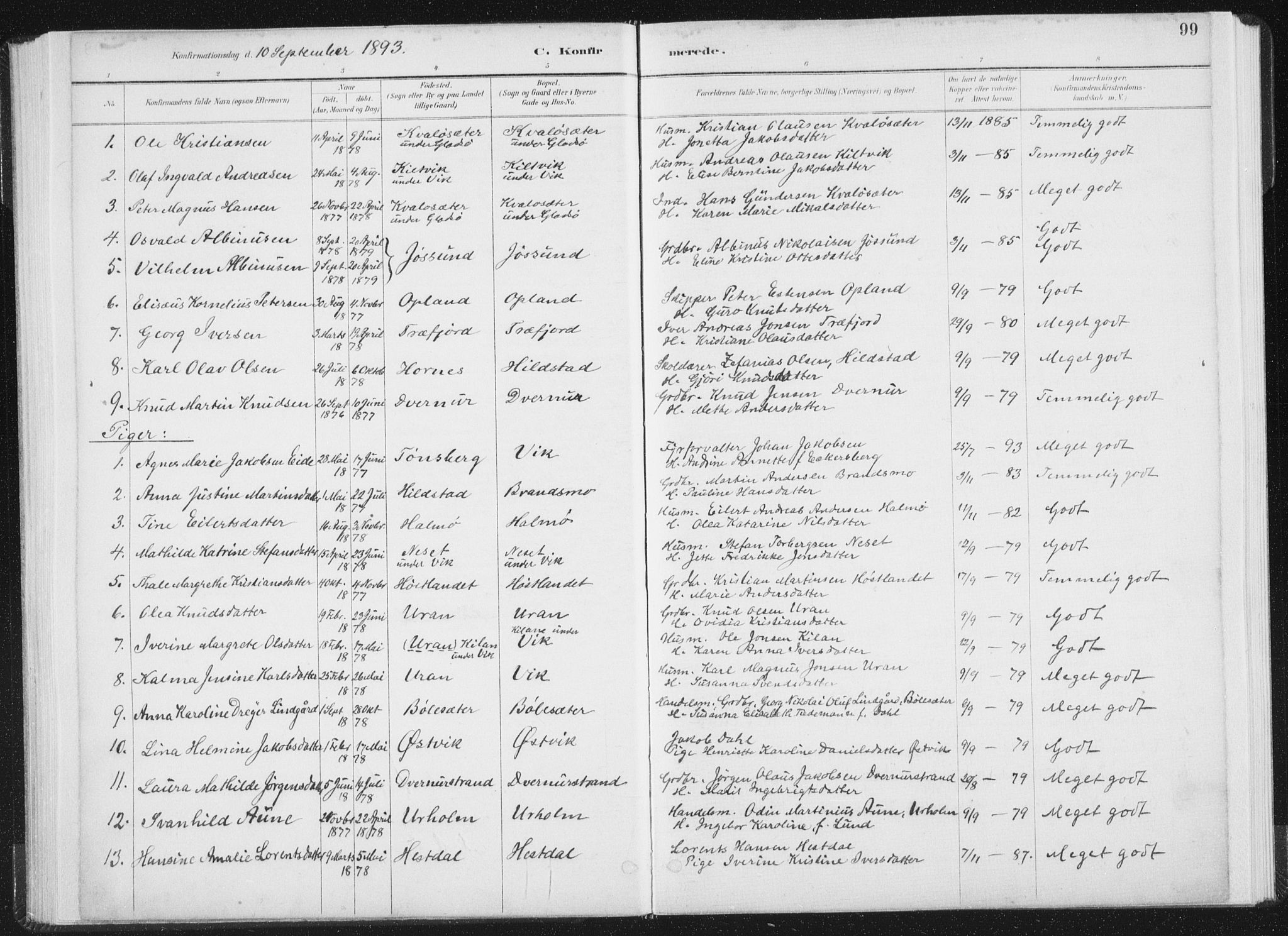 Ministerialprotokoller, klokkerbøker og fødselsregistre - Nord-Trøndelag, SAT/A-1458/771/L0597: Parish register (official) no. 771A04, 1885-1910, p. 99