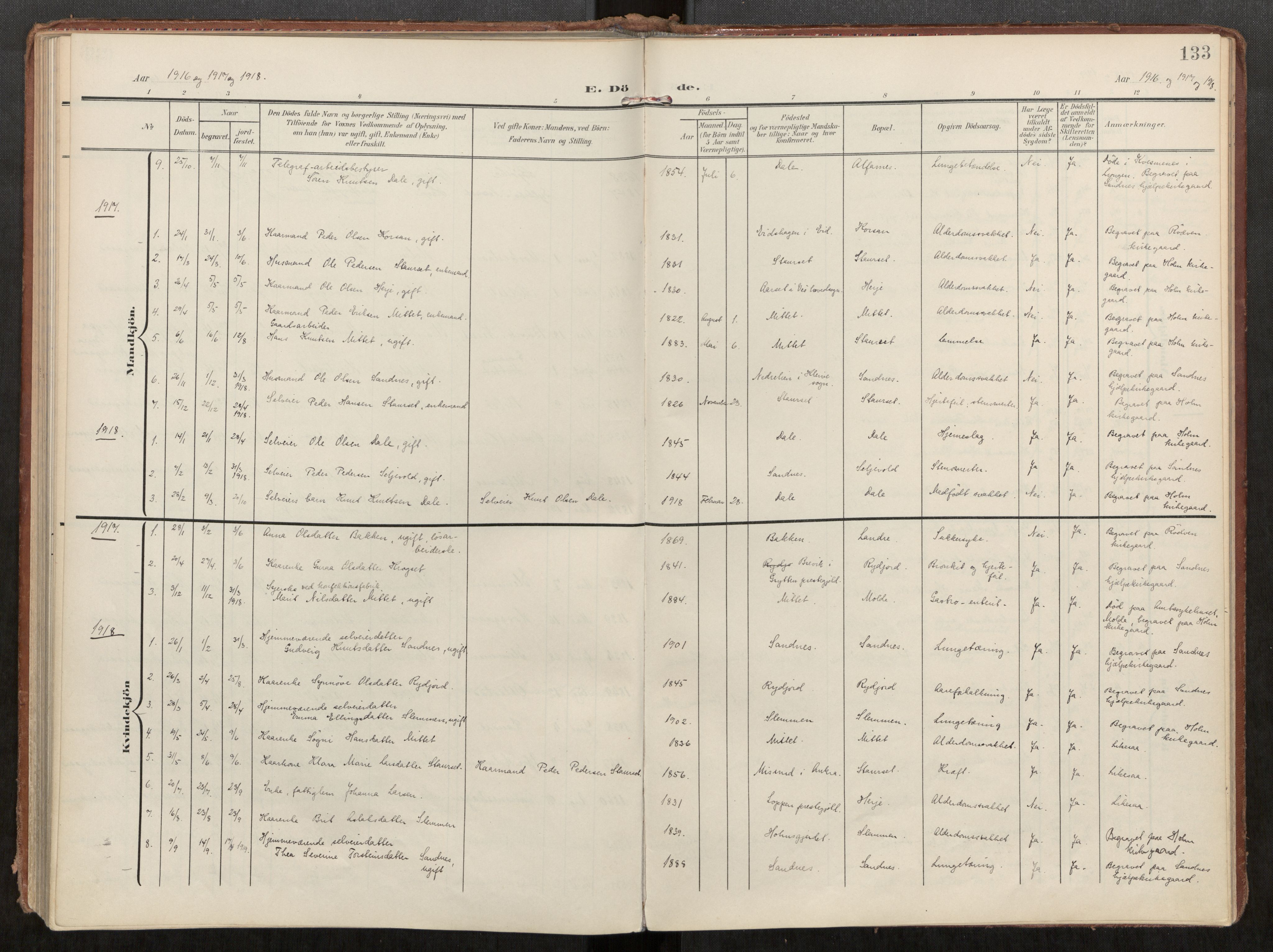 Ministerialprotokoller, klokkerbøker og fødselsregistre - Møre og Romsdal, AV/SAT-A-1454/549/L0618: Parish register (official) no. 549A01, 1906-1927, p. 133