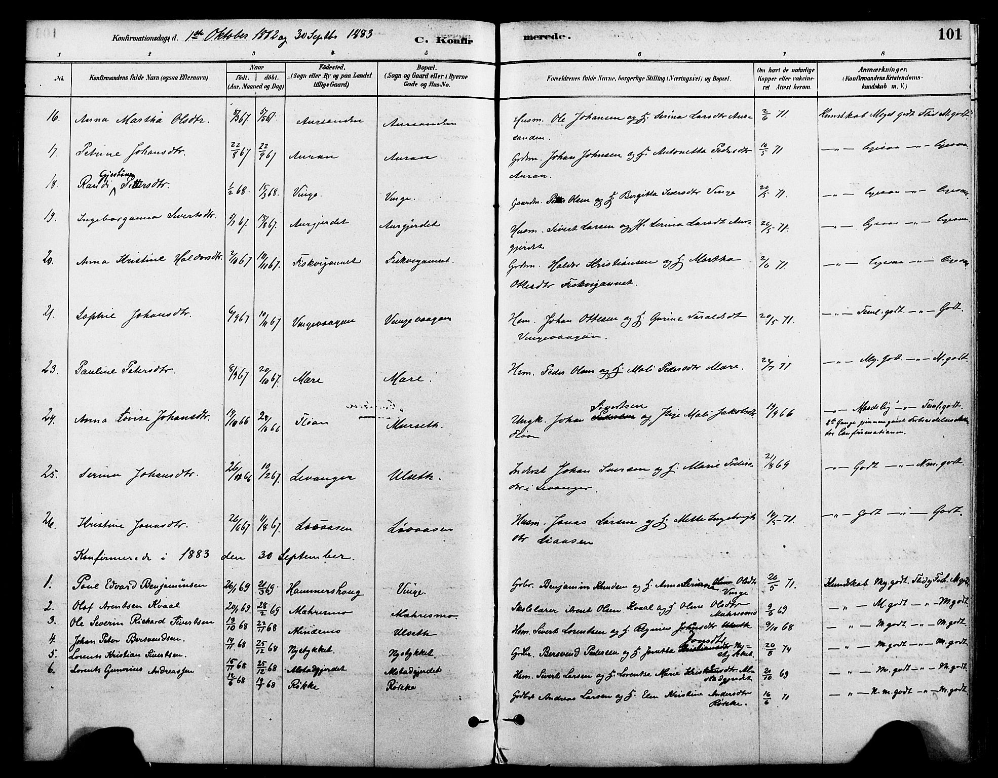 Ministerialprotokoller, klokkerbøker og fødselsregistre - Nord-Trøndelag, AV/SAT-A-1458/712/L0100: Parish register (official) no. 712A01, 1880-1900, p. 101