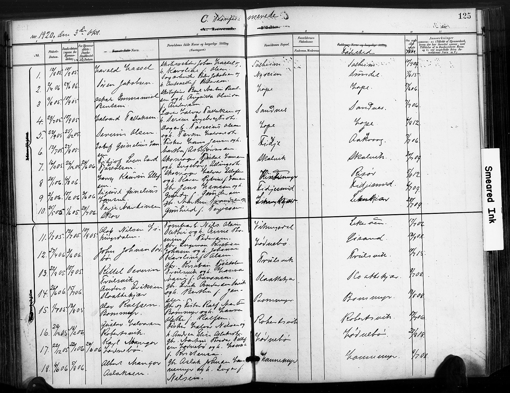 Søndeled sokneprestkontor, SAK/1111-0038/F/Fa/L0006: Parish register (official) no. A 6, 1900-1922, p. 125
