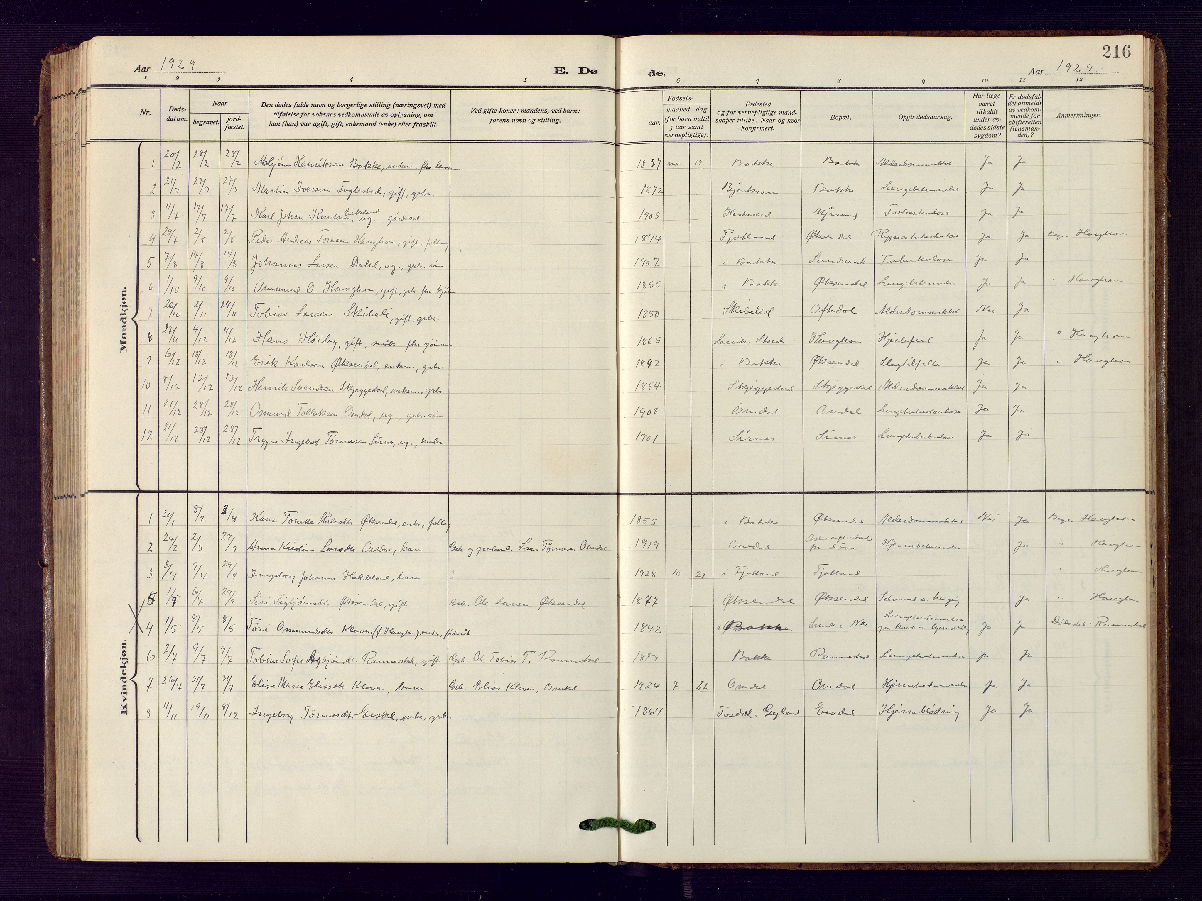 Bakke sokneprestkontor, SAK/1111-0002/F/Fb/Fba/L0004: Parish register (copy) no. B 4, 1911-1946, p. 216