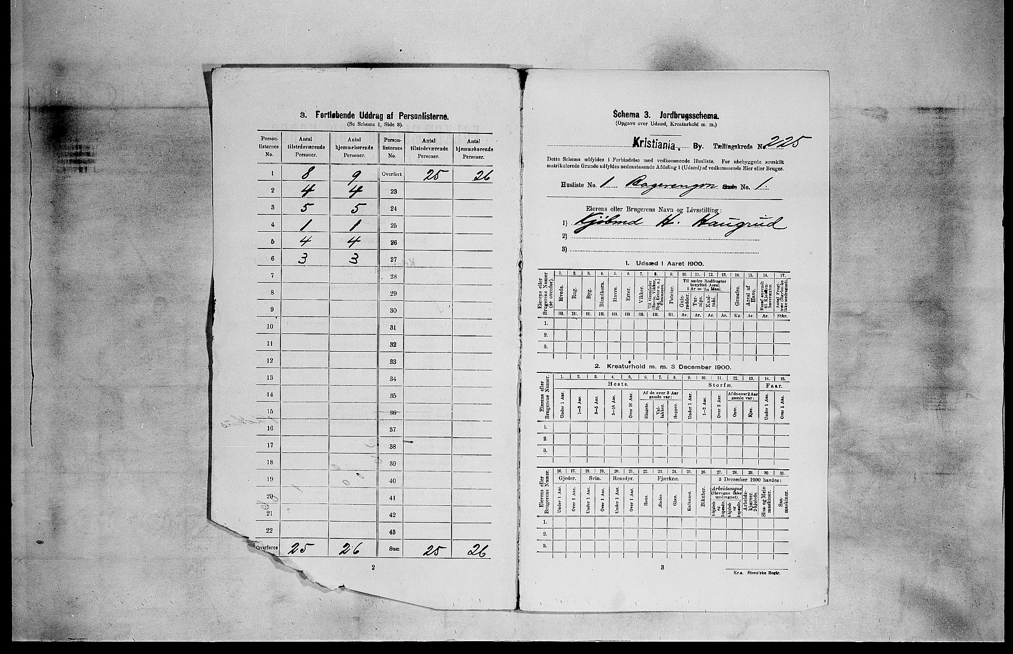 SAO, 1900 census for Kristiania, 1900, p. 2910