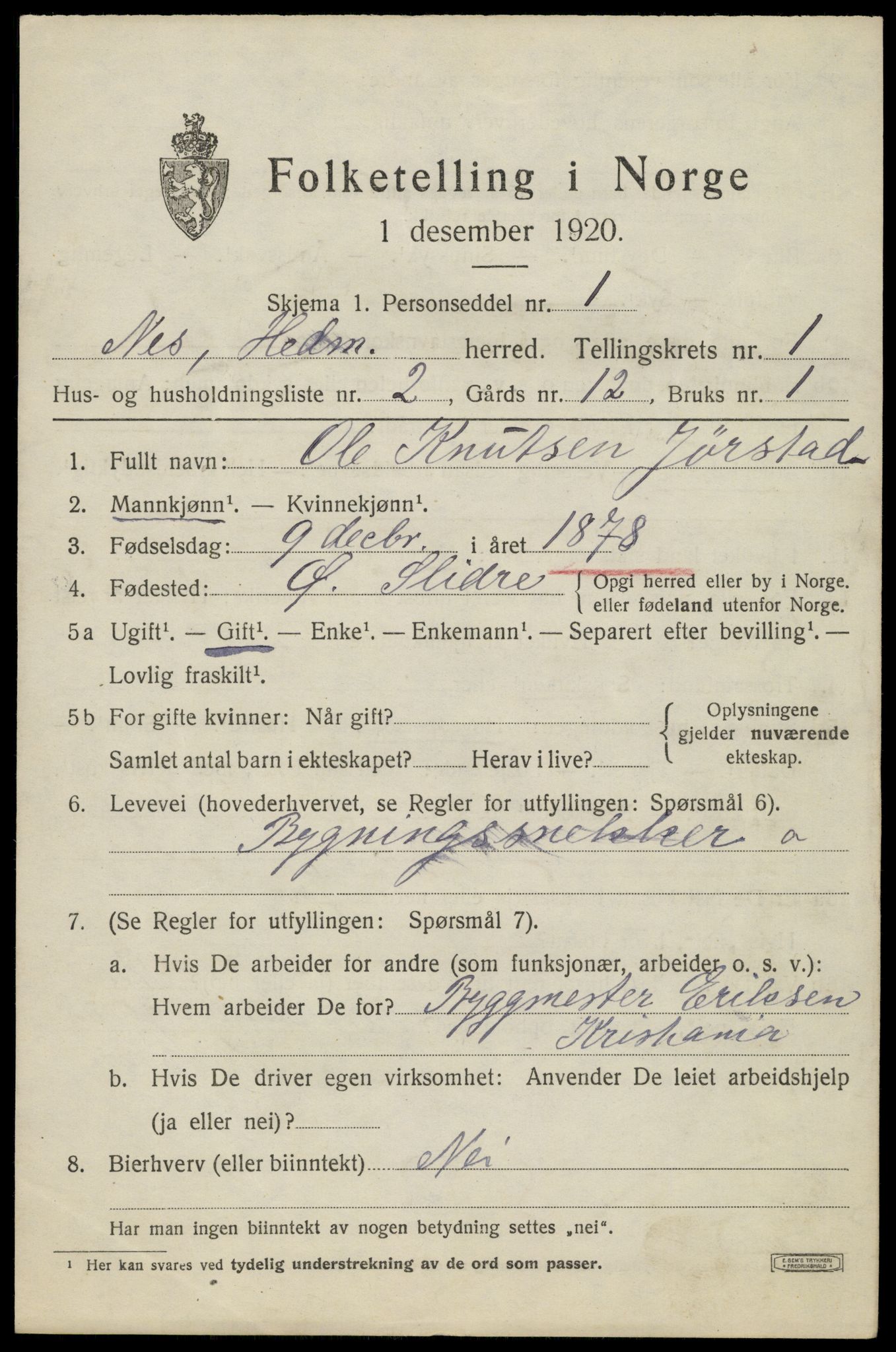 SAH, 1920 census for Nes (Hedmark), 1920, p. 1296