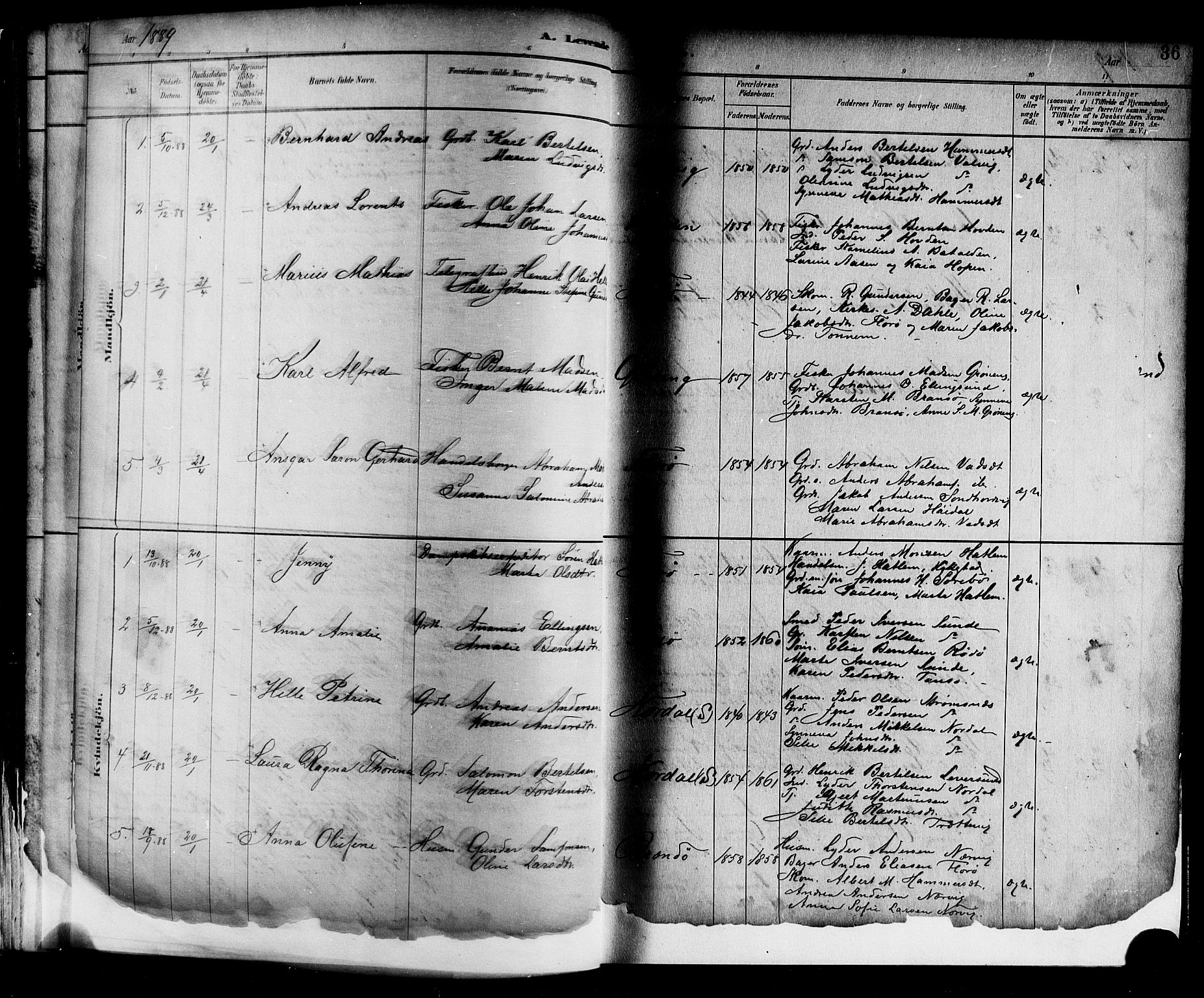 Kinn sokneprestembete, SAB/A-80801/H/Hab/Haba/L0002: Parish register (copy) no. A 2, 1882-1906, p. 36