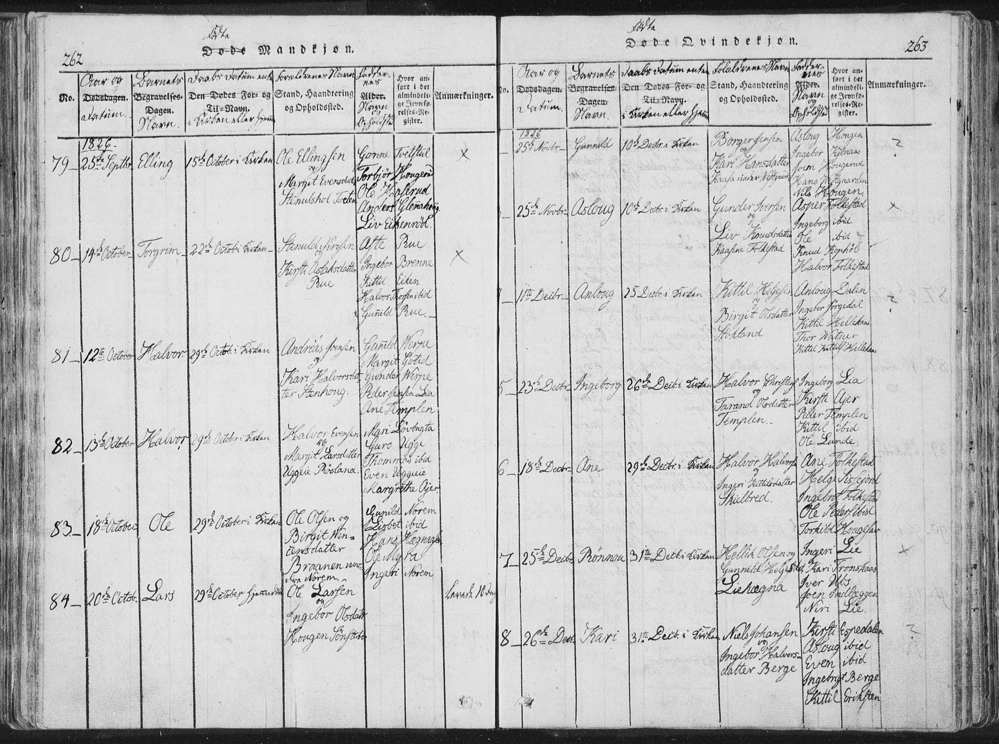 Bø kirkebøker, SAKO/A-257/F/Fa/L0006: Parish register (official) no. 6, 1815-1831, p. 262-263