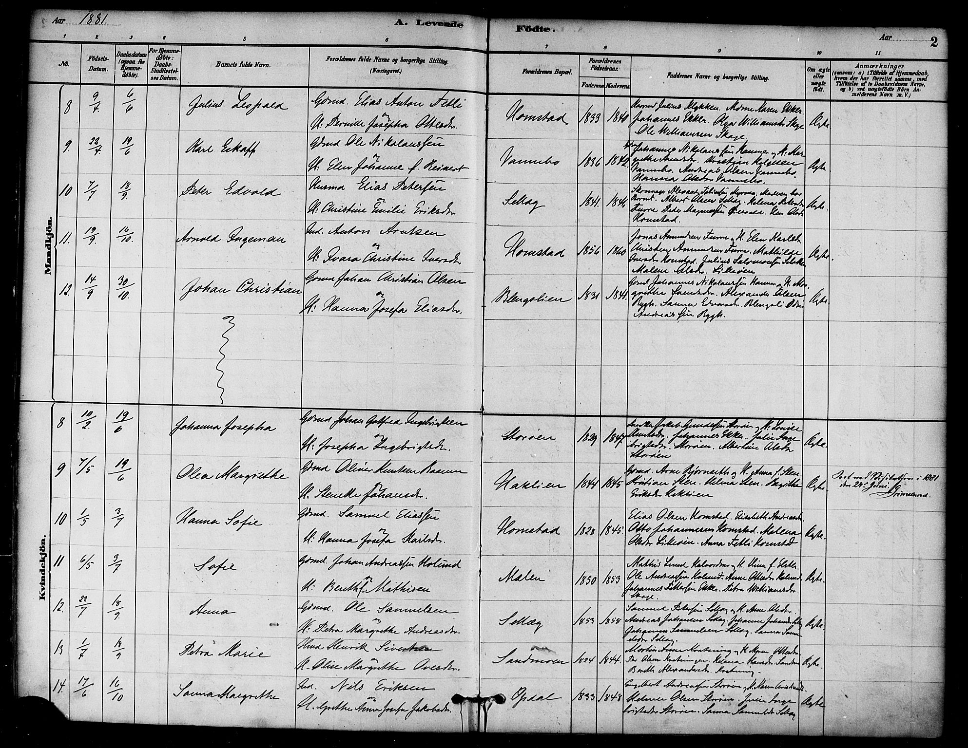 Ministerialprotokoller, klokkerbøker og fødselsregistre - Nord-Trøndelag, SAT/A-1458/766/L0563: Parish register (official) no. 767A01, 1881-1899, p. 2